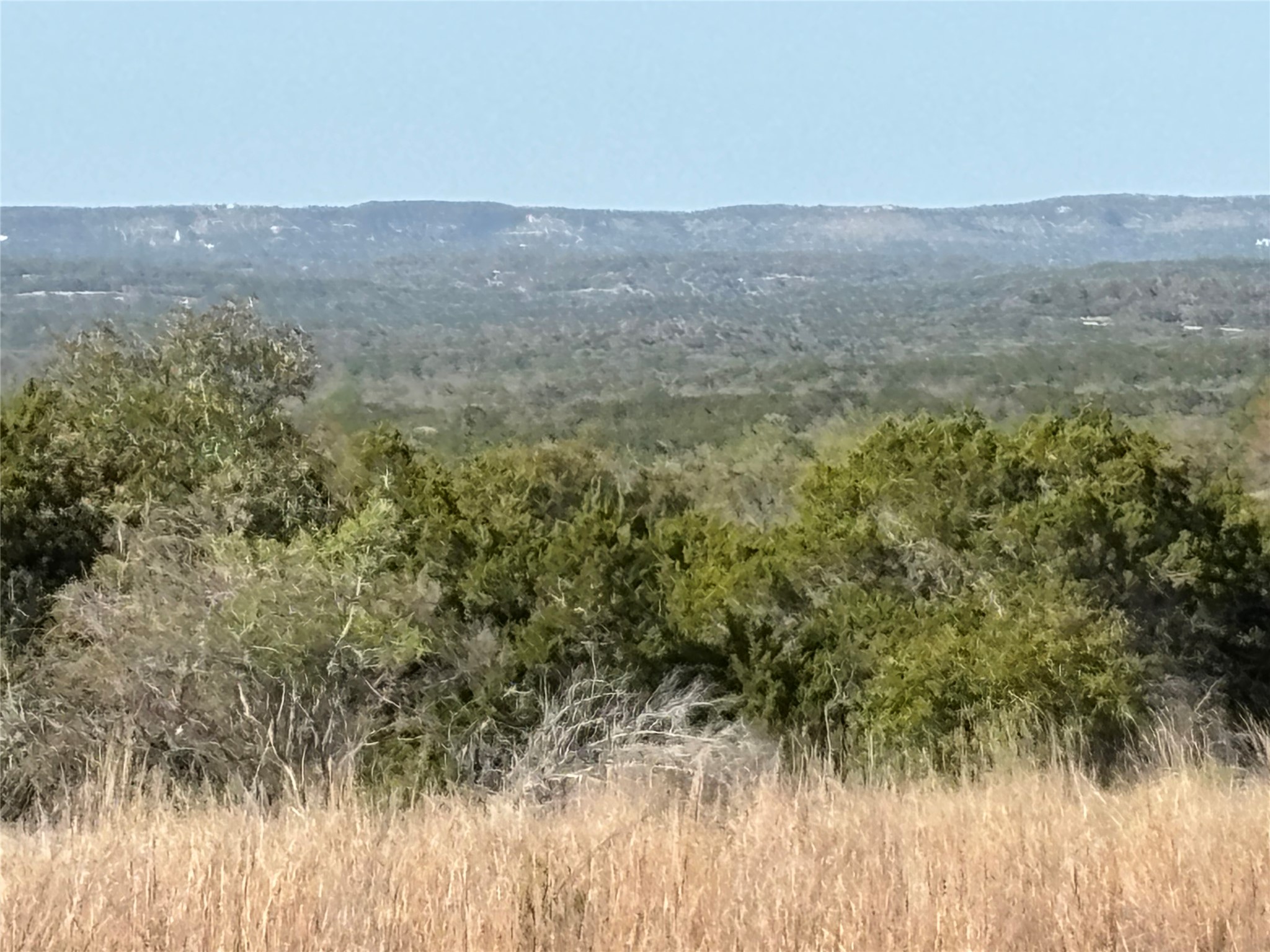 768 Tiswin Trail Blanco, TX 78606 - Photo 10 of 14 a view of a lush green space with a mountain in the background