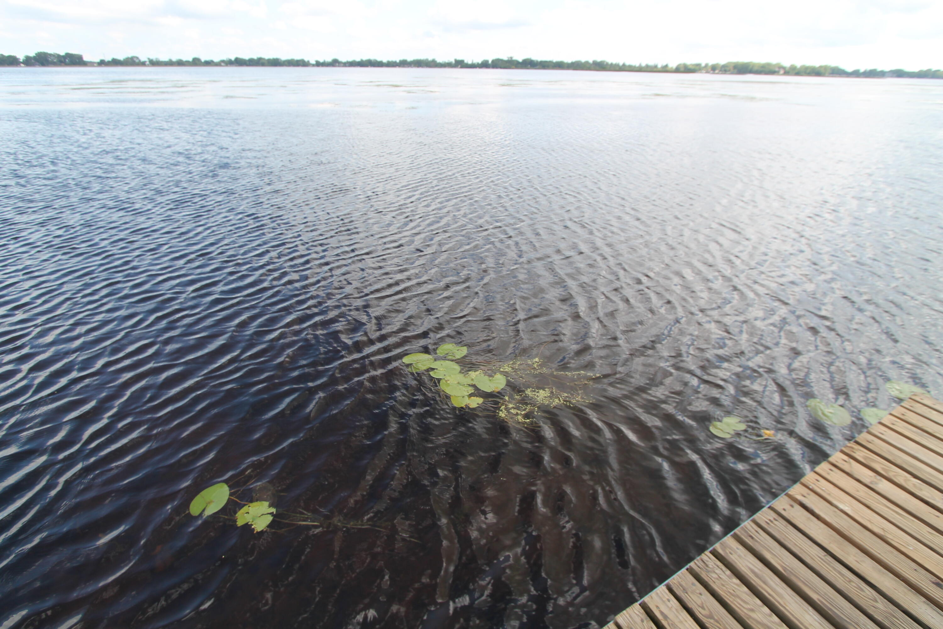 25513 West Loomis Road Norway, WI 53185 - Photo 9 of 21 IMG_9918