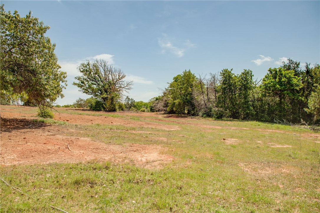 499 County Road 331 Milano, TX 76556 - Photo 18 of 31 a view of yard with large trees