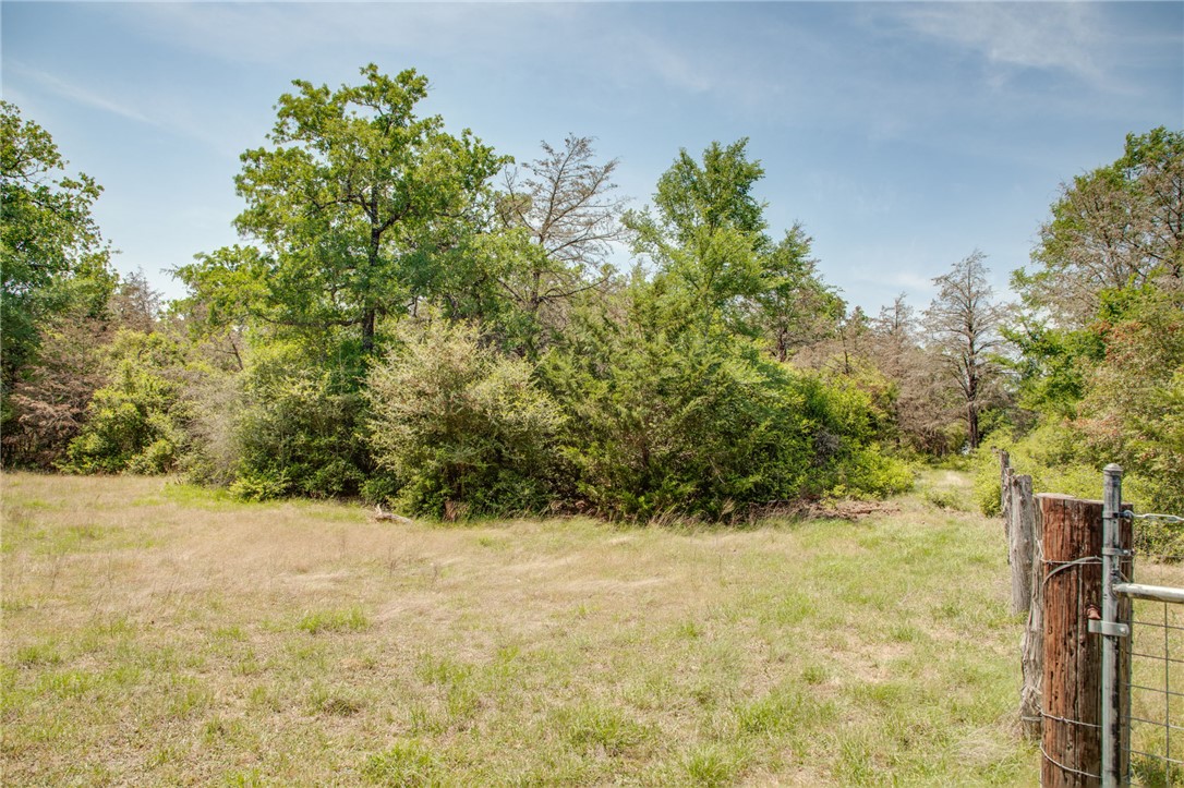 499 County Road 331 Milano, TX 76556 - Photo 20 of 31 a view of a yard with a tree