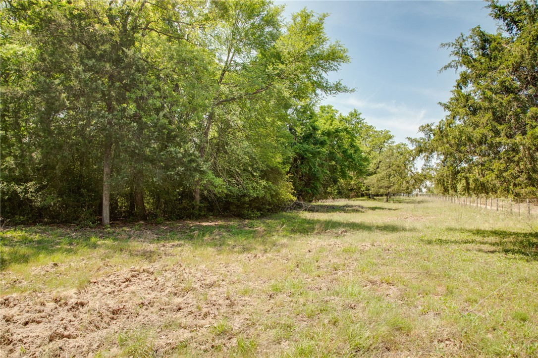 499 County Road 331 Milano, TX 76556 - Photo 22 of 31 a view of outdoor space with swimming pool