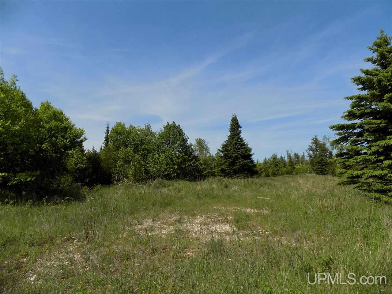 Tbd Miller Point Road, Unit 26 Manistique, MI 49854 - Photo 5 of 11