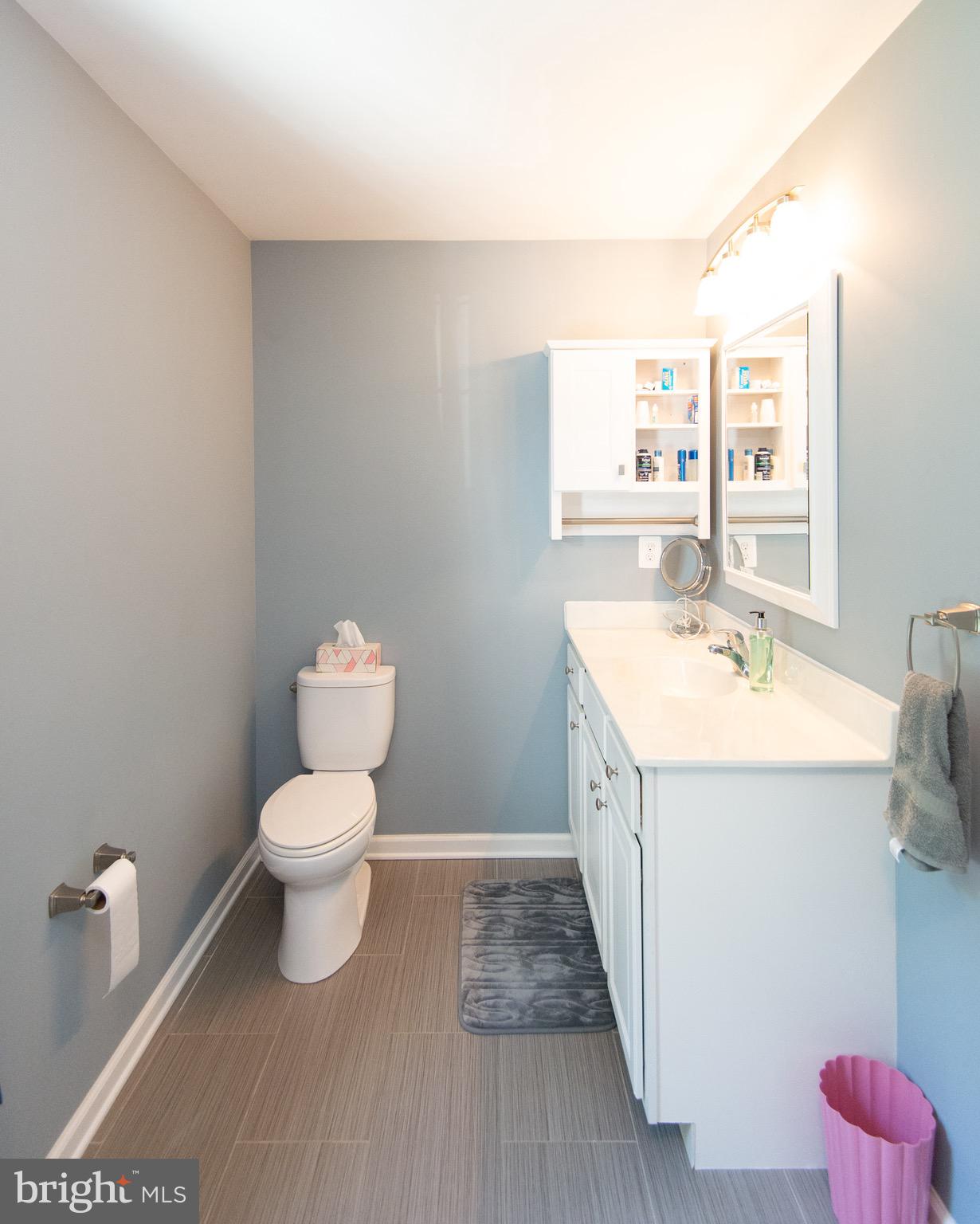 6224 Fooks Mill Road Rhodesdale, MD 21659 - Photo 40 of 86 Owner's Full Bath