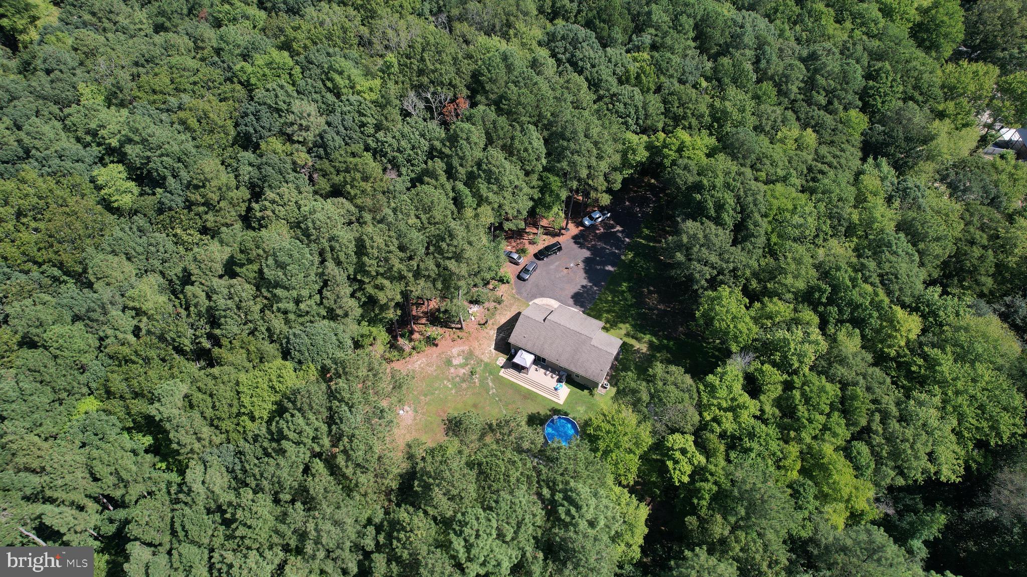 6224 Fooks Mill Road Rhodesdale, MD 21659 - Photo 4 of 86