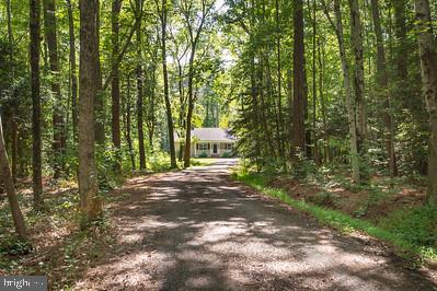 6224 Fooks Mill Road Rhodesdale, MD 21659 - Photo 5 of 86