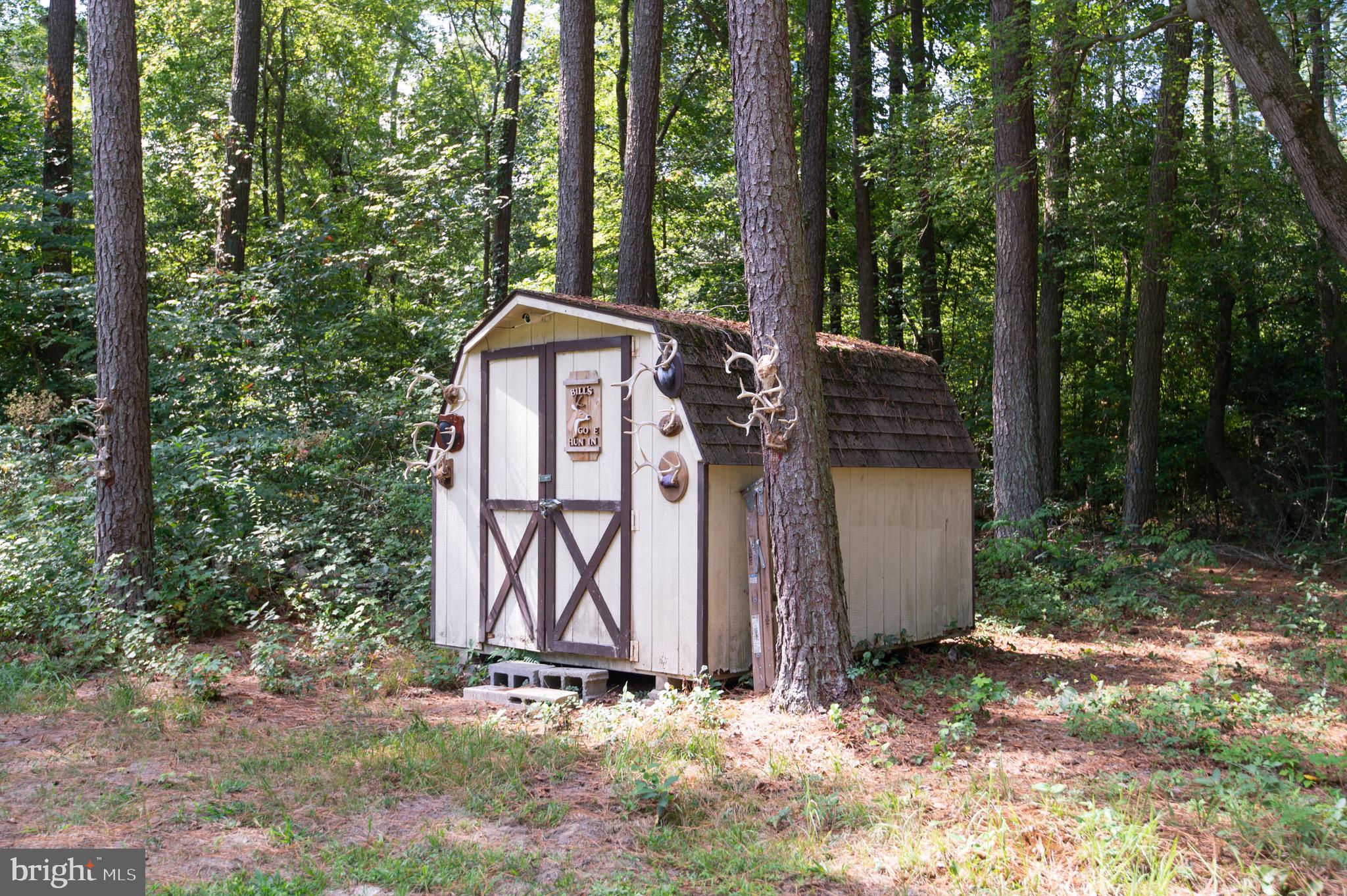 6224 Fooks Mill Road Rhodesdale, MD 21659 - Photo 60 of 86