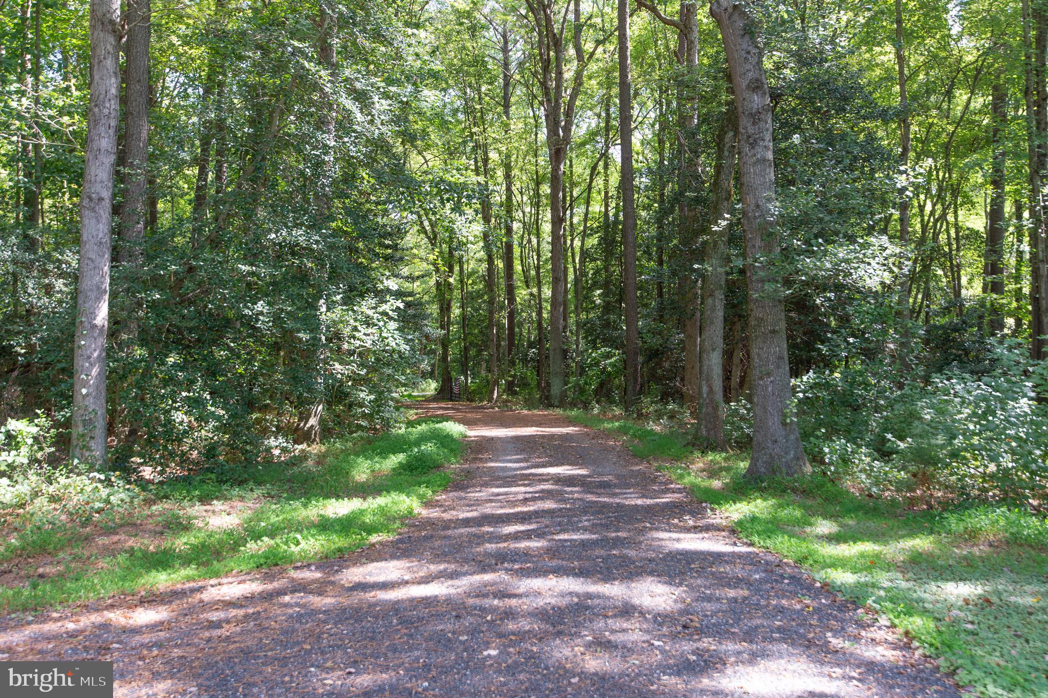 6224 Fooks Mill Road Rhodesdale, MD 21659 - Photo 66 of 86