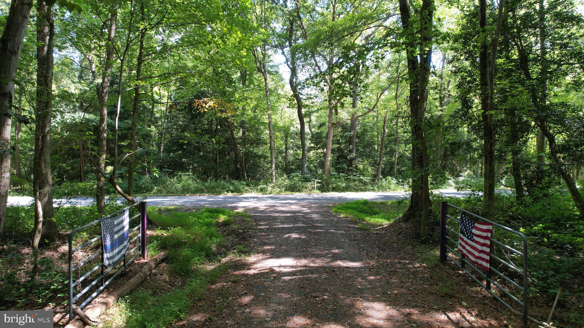 6224 Fooks Mill Road Rhodesdale, MD 21659 - Photo 67 of 86