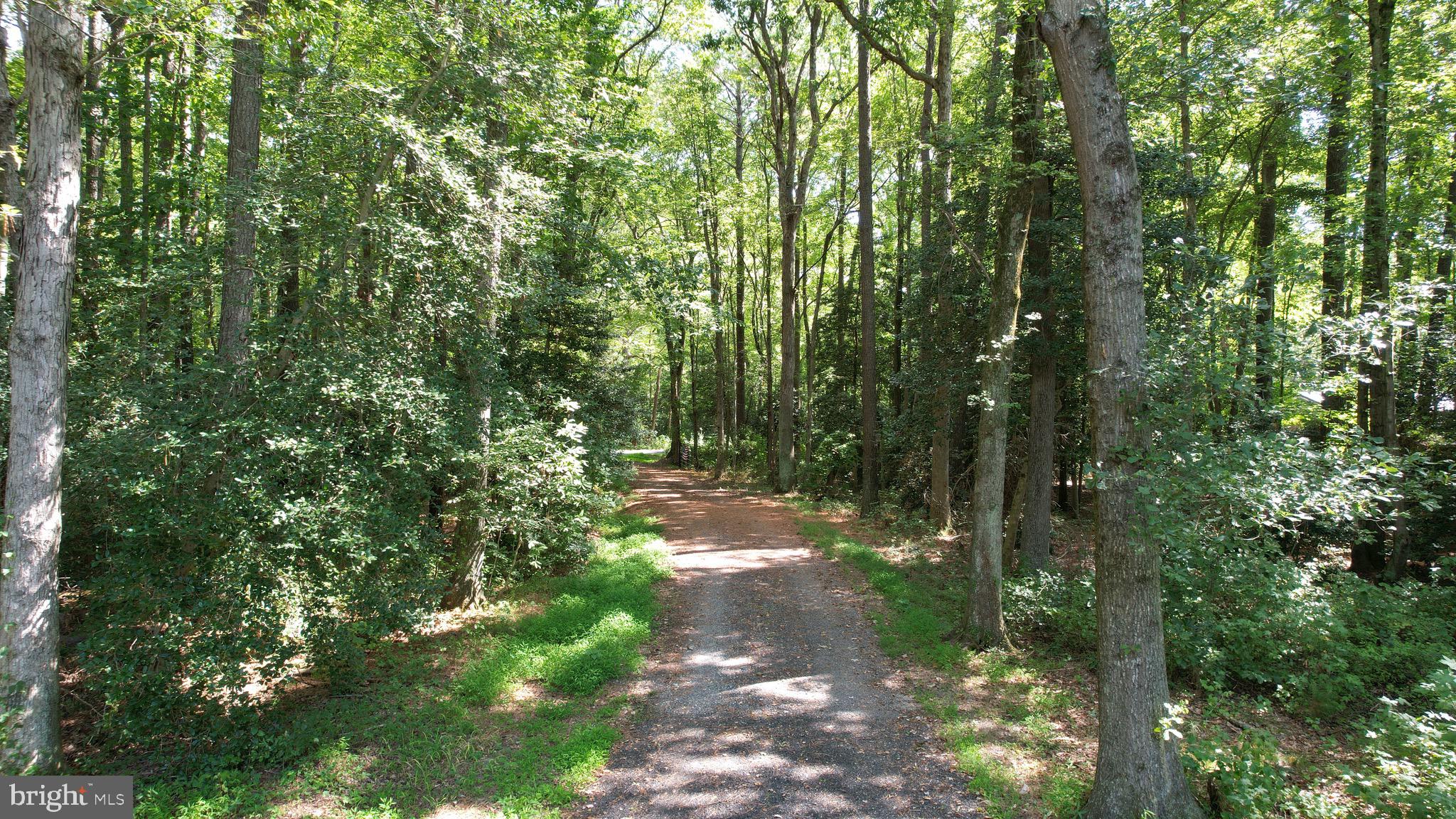 6224 Fooks Mill Road Rhodesdale, MD 21659 - Photo 68 of 86