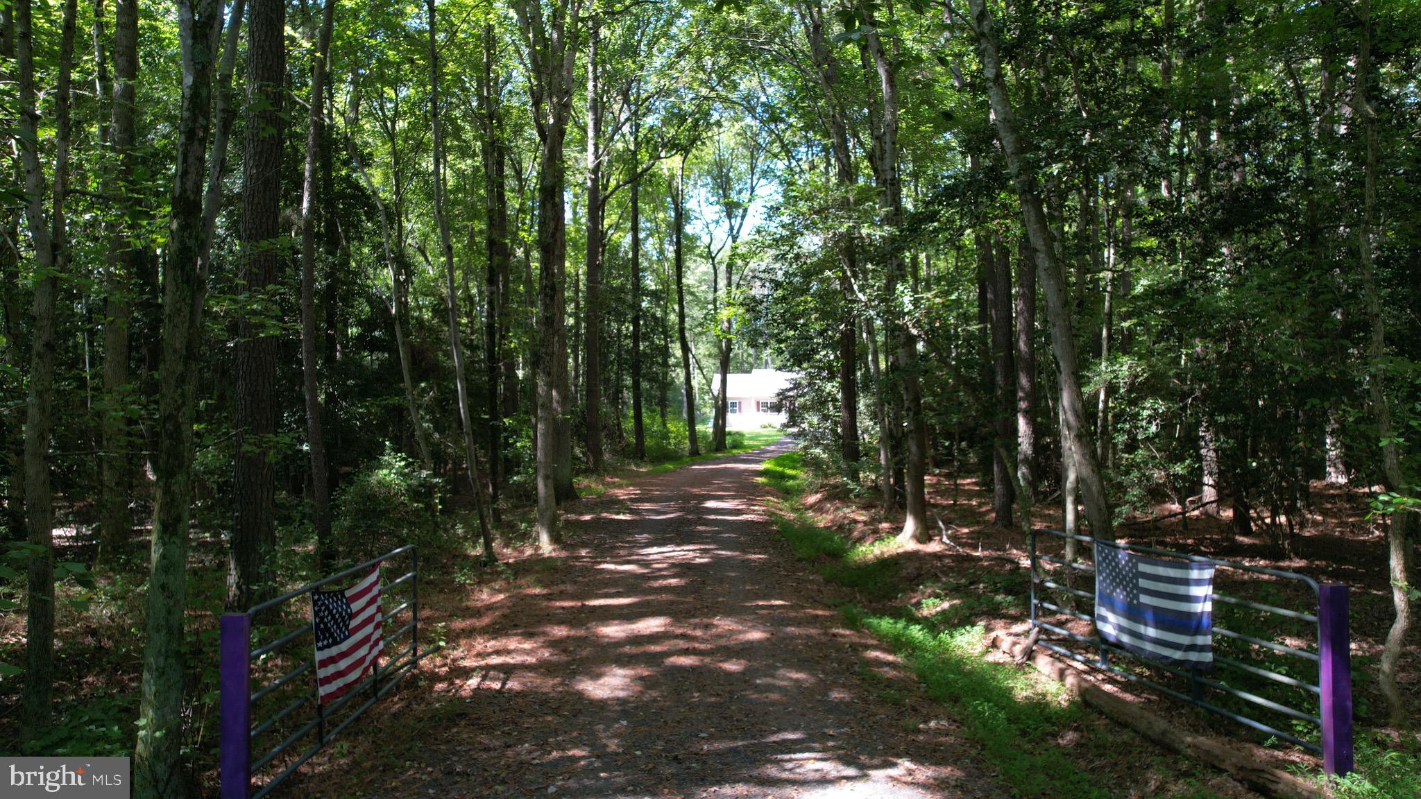 6224 Fooks Mill Road Rhodesdale, MD 21659 - Photo 69 of 86