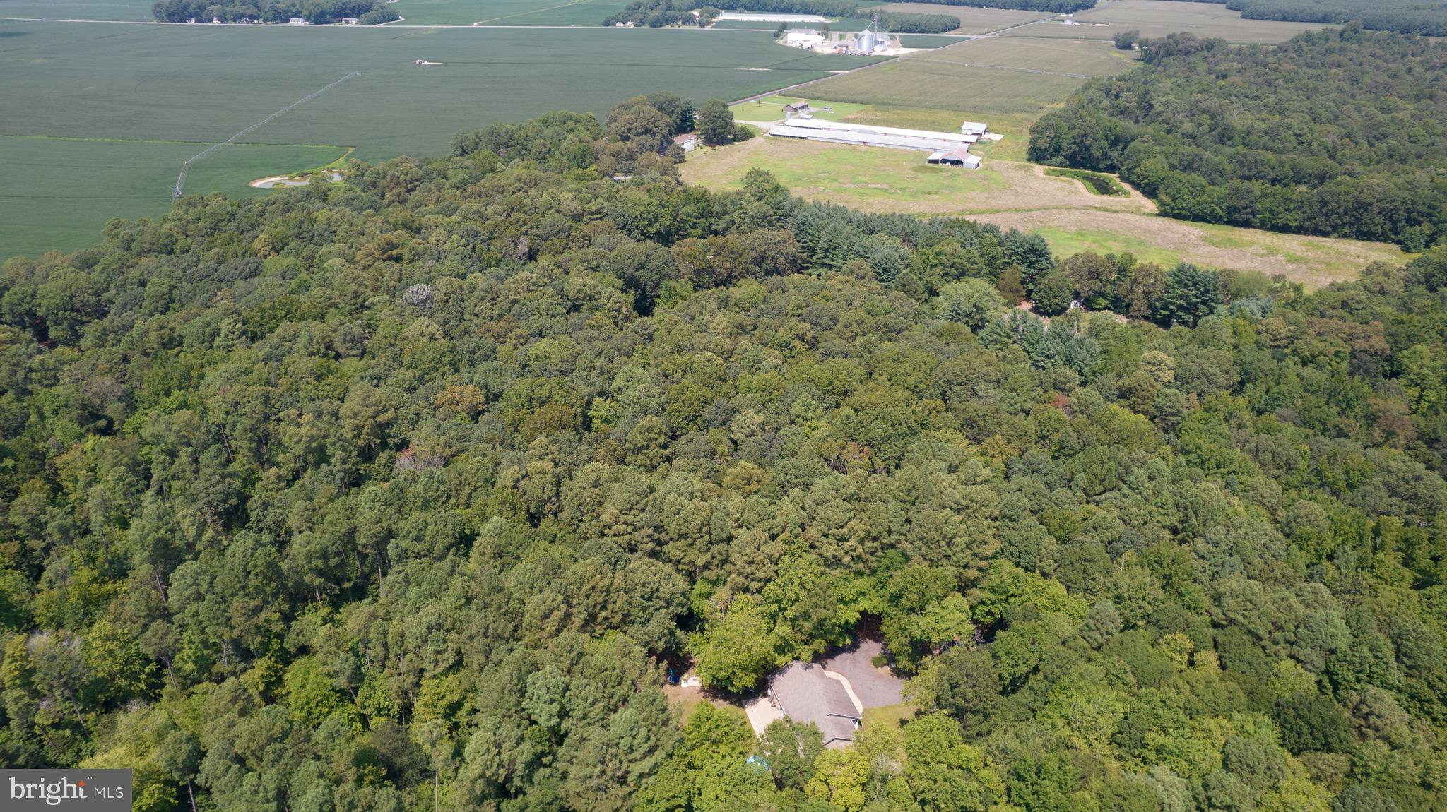 6224 Fooks Mill Road Rhodesdale, MD 21659 - Photo 72 of 86