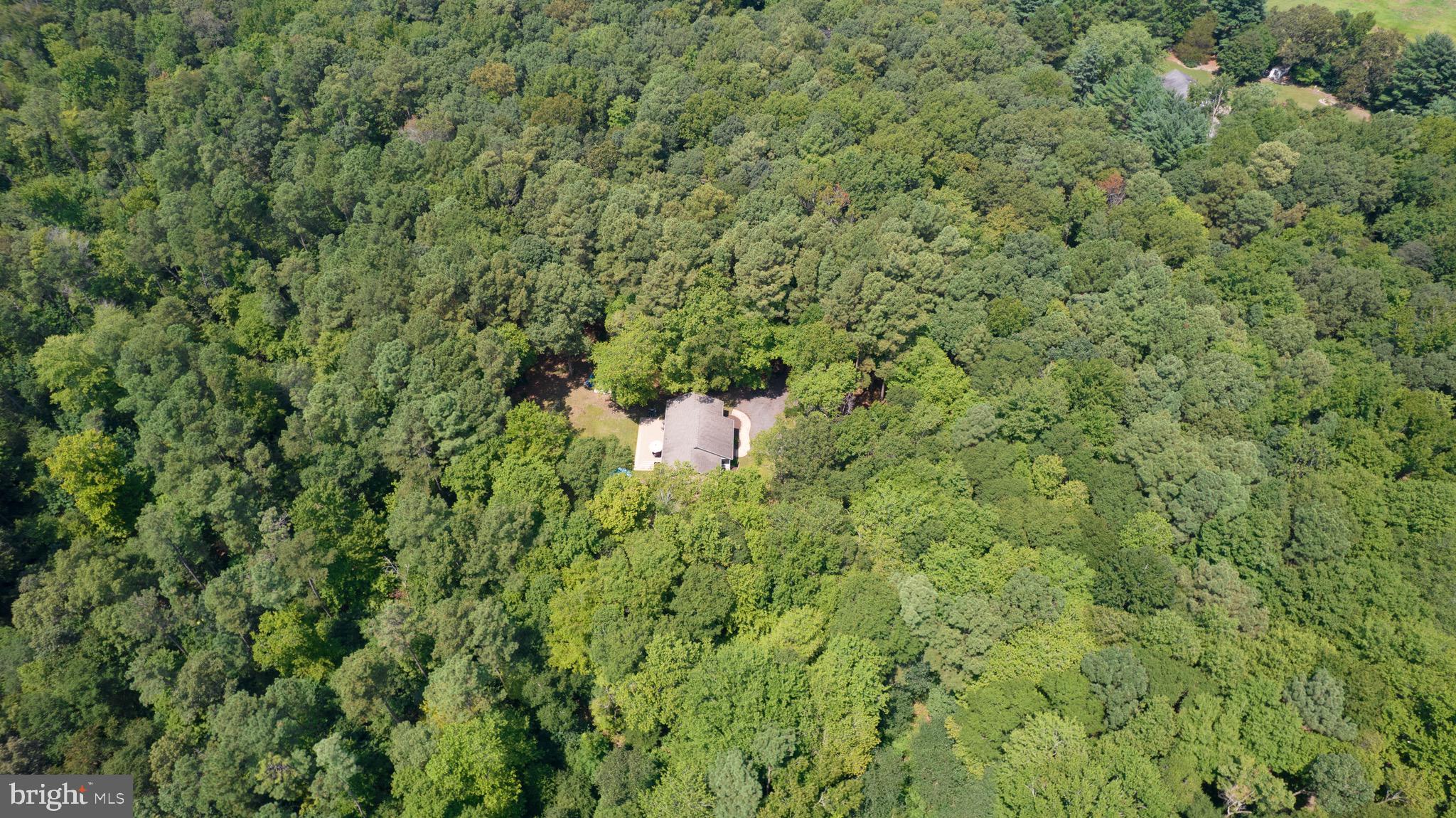 6224 Fooks Mill Road Rhodesdale, MD 21659 - Photo 75 of 86