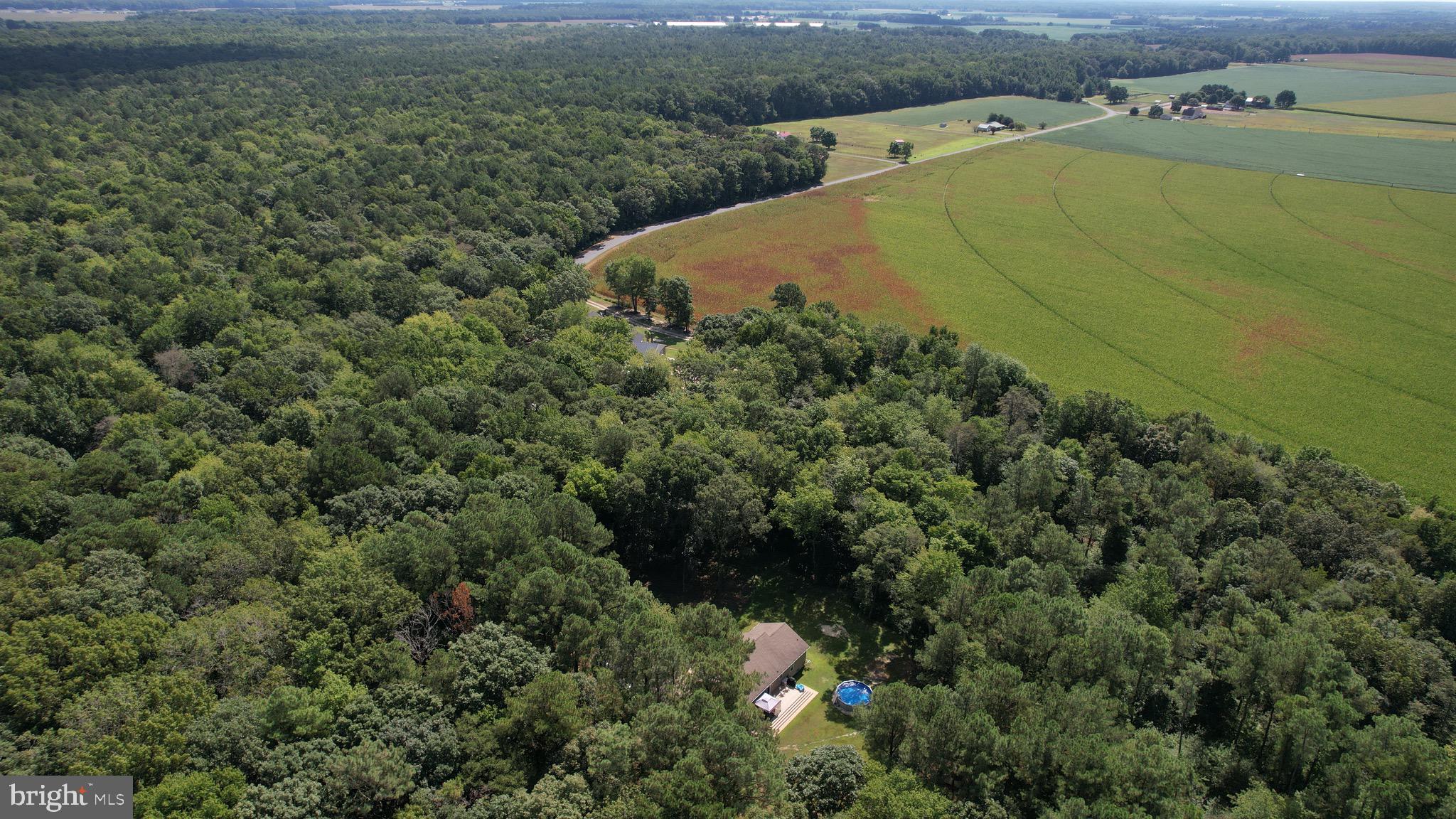 6224 Fooks Mill Road Rhodesdale, MD 21659 - Photo 77 of 86