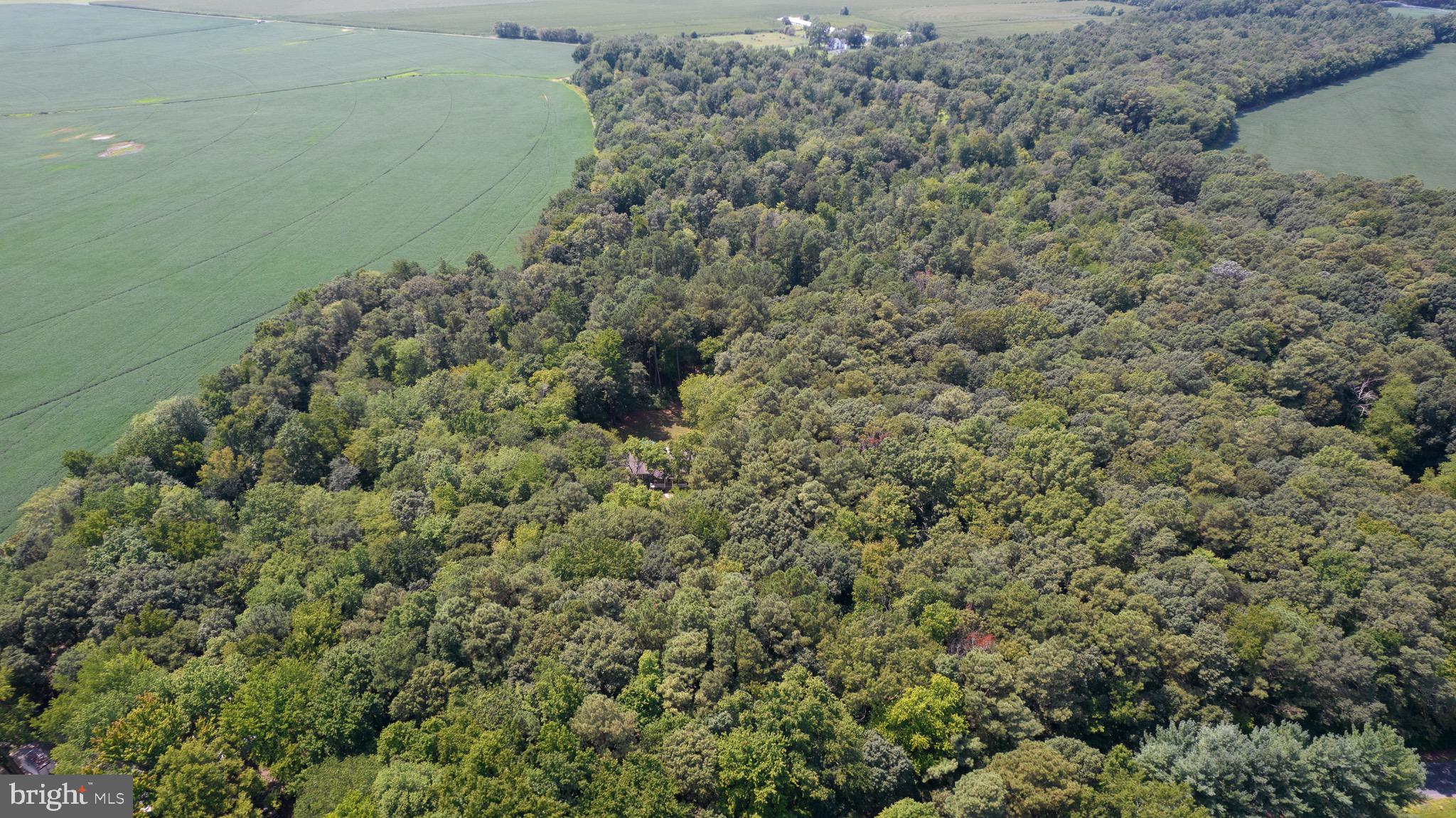 6224 Fooks Mill Road Rhodesdale, MD 21659 - Photo 84 of 86