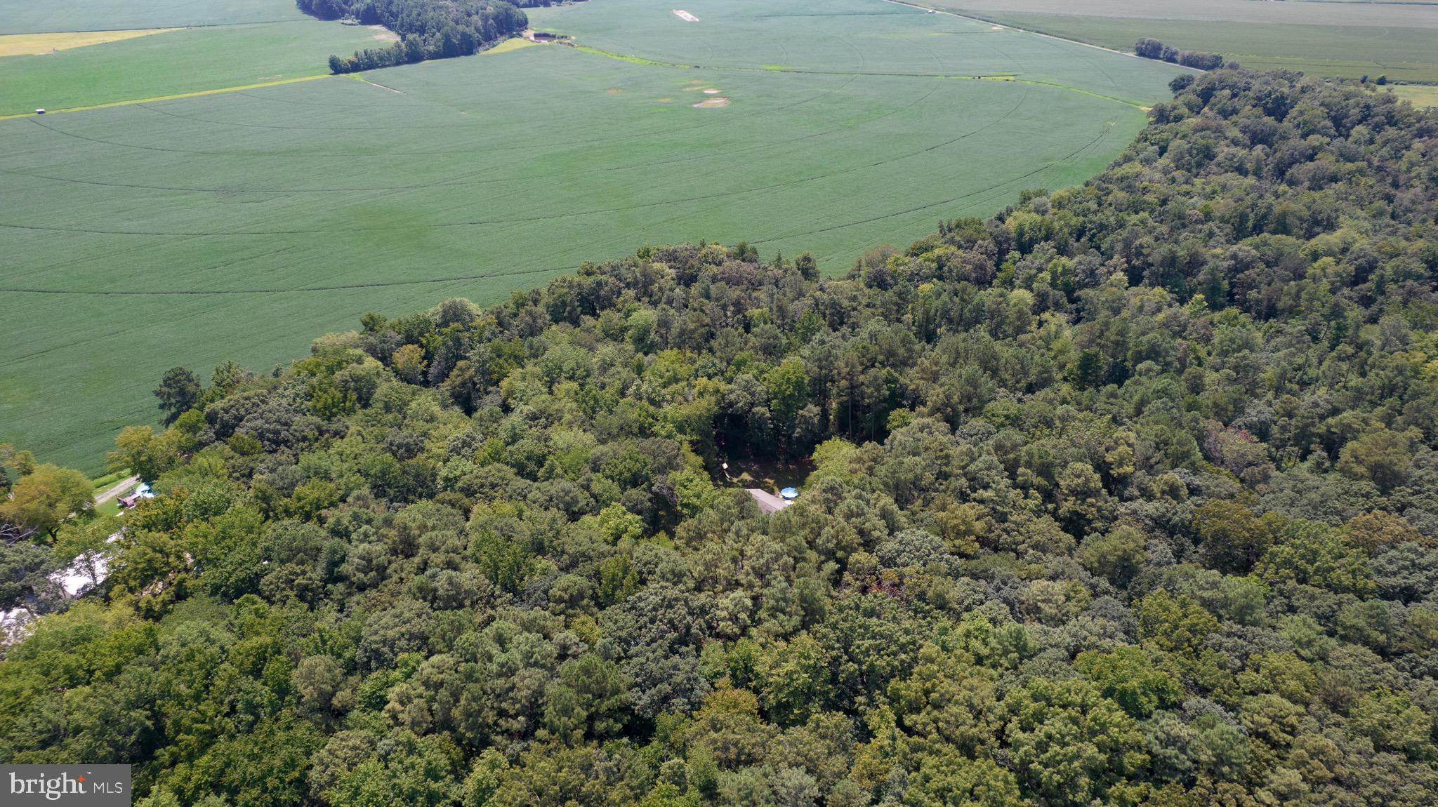 6224 Fooks Mill Road Rhodesdale, MD 21659 - Photo 85 of 86