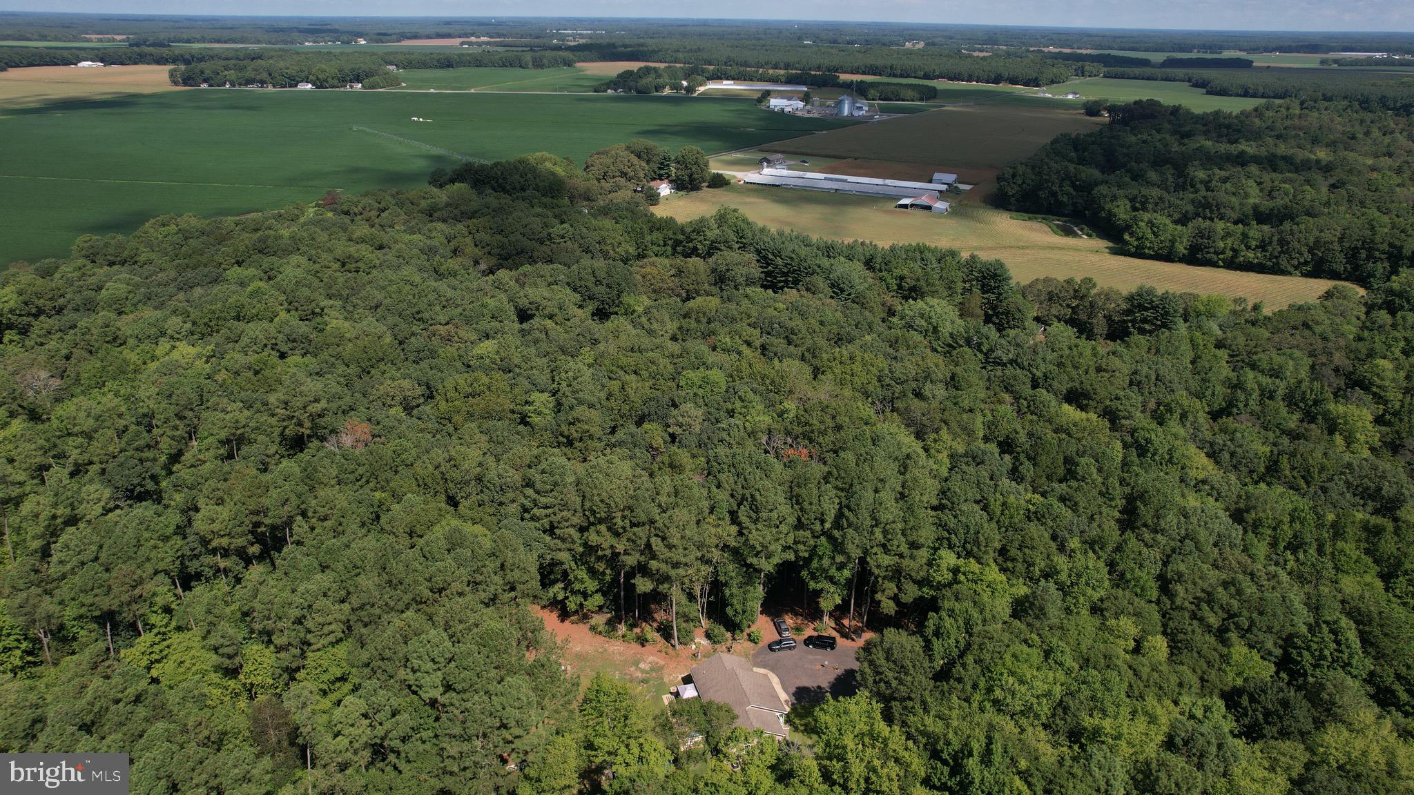 6224 Fooks Mill Road Rhodesdale, MD 21659 - Photo 86 of 86
