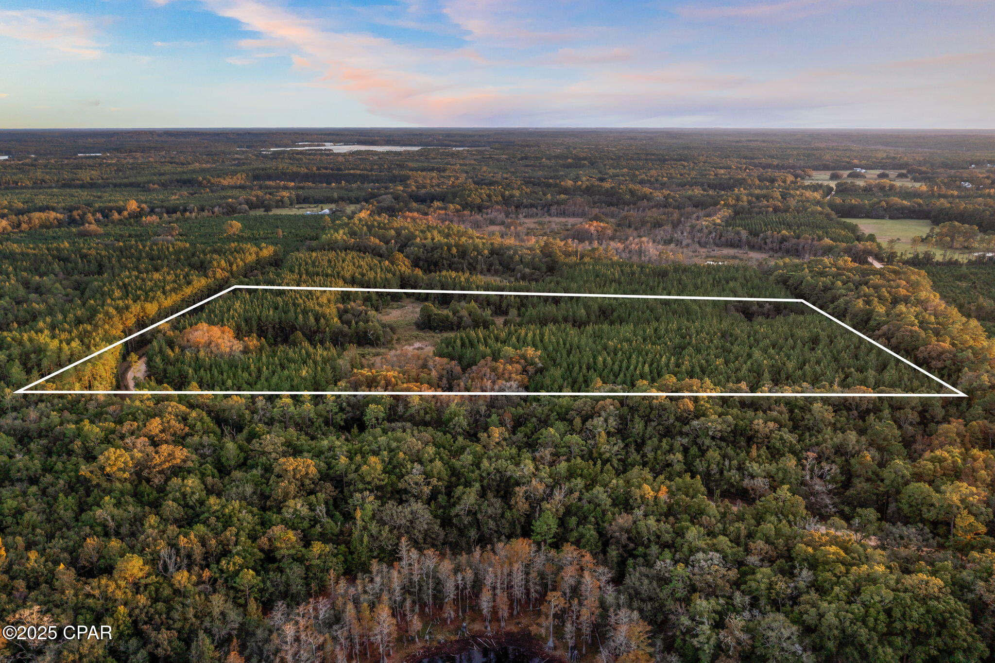Xxx Fortune Pond Road, Unit NORTH 20 ACRES) Vernon, FL 32462 - Photo 2 of 4