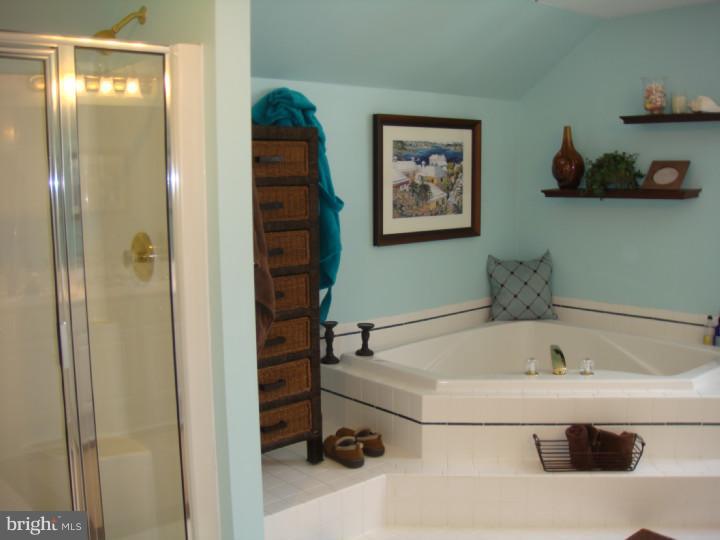 833 Good Drive Downingtown, PA 19335 - Photo 10 of 19 Master Bathroom
