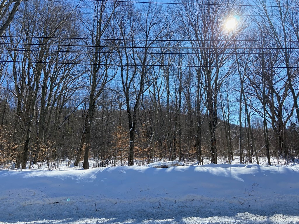 0 Hockanum Road Hadley, MA 01035 - Photo 1 of 4 Gallery Image 1