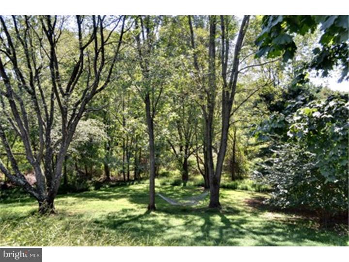 28 Crestview Road Phoenixville, PA 19460 - Photo 5 of 24 Back Yard