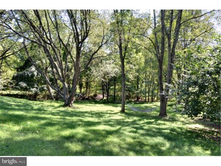 28 Crestview Road Phoenixville, PA 19460 - Photo 7 of 24 Back Yard