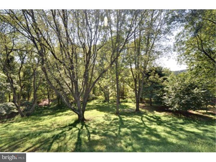 28 Crestview Road Phoenixville, PA 19460 - Photo 8 of 24 Back Yard