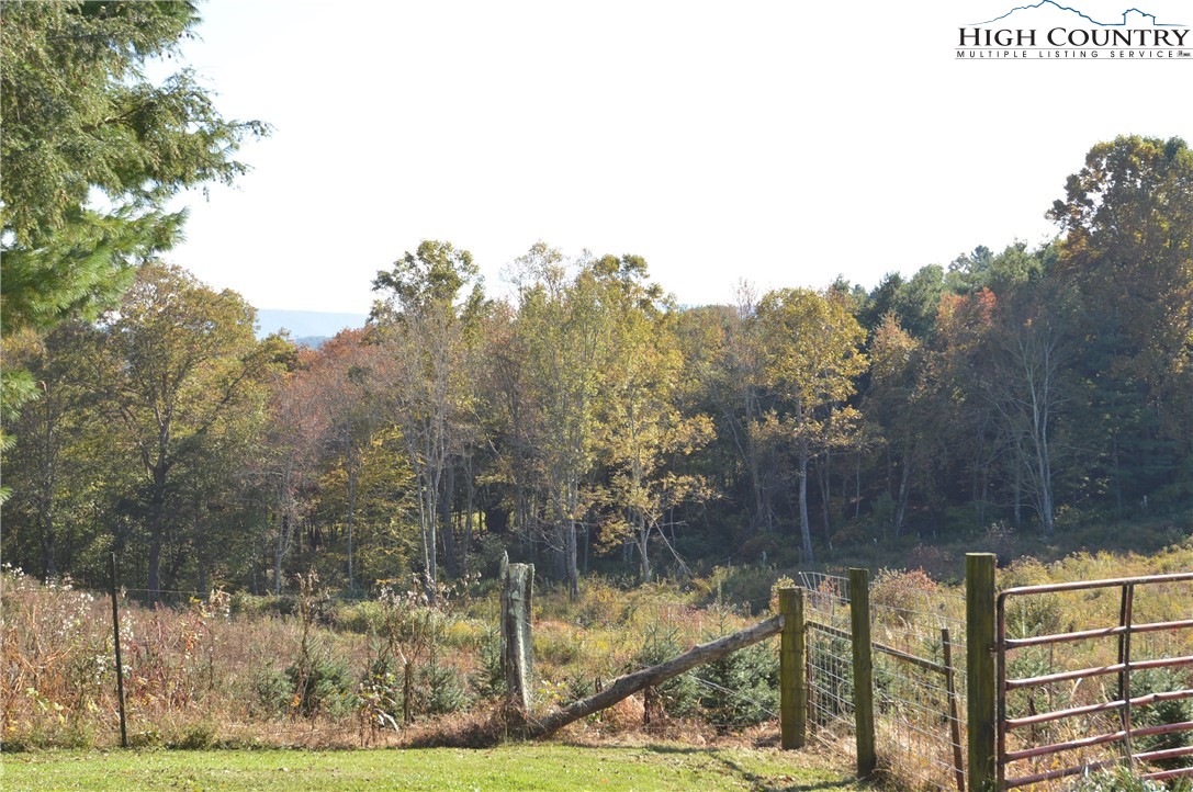 241 Pleasant Home Road Sparta, NC 28675 - Photo 34 of 46 Gallery Image 34