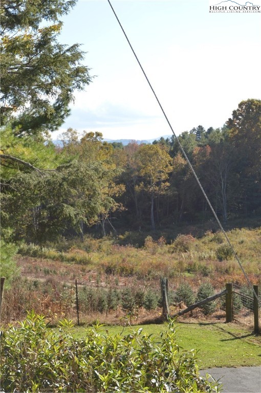 241 Pleasant Home Road Sparta, NC 28675 - Photo 43 of 46 Gallery Image 43