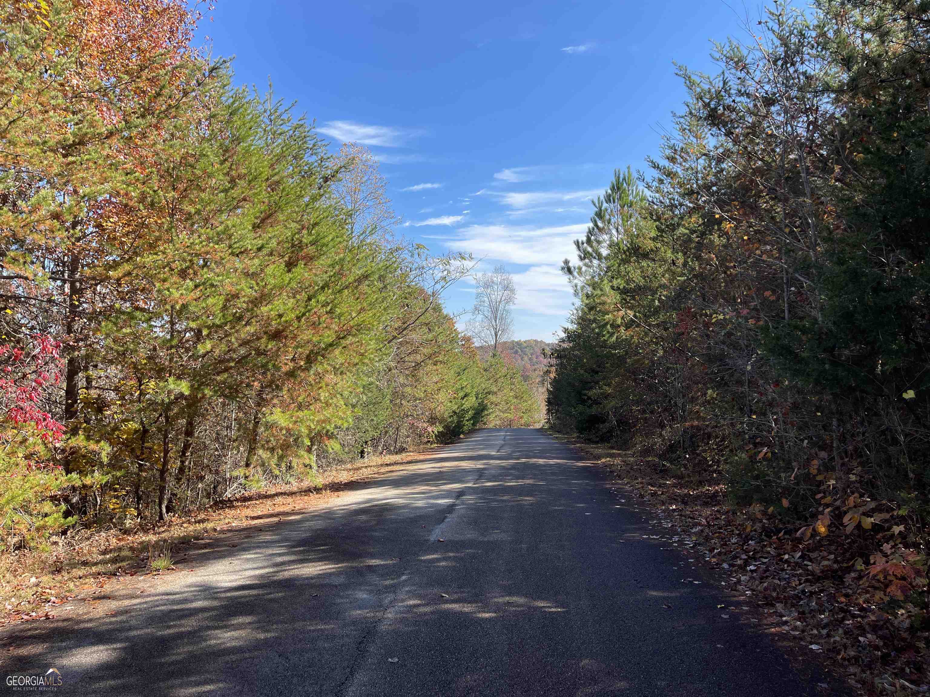 0 Sunshine Ridge Drive, Unit TRACT 1 Toccoa, GA 30577 - Photo 1 of 1 Gallery Image 1