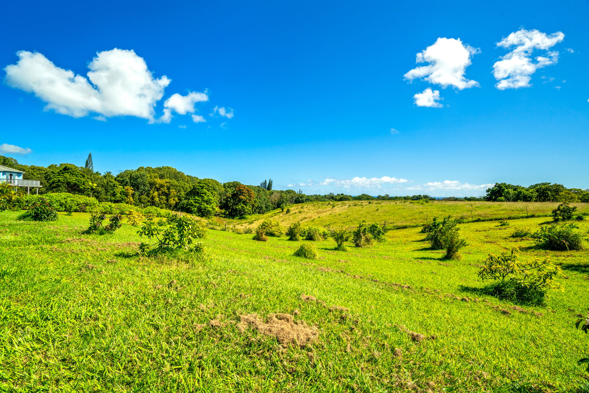 6421 L Hauiki Road Kapaa, HI 96746 - Photo 28 of 30