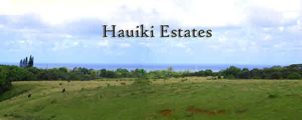 6421 L Hauiki Road Kapaa, HI 96746 - Photo 30 of 30