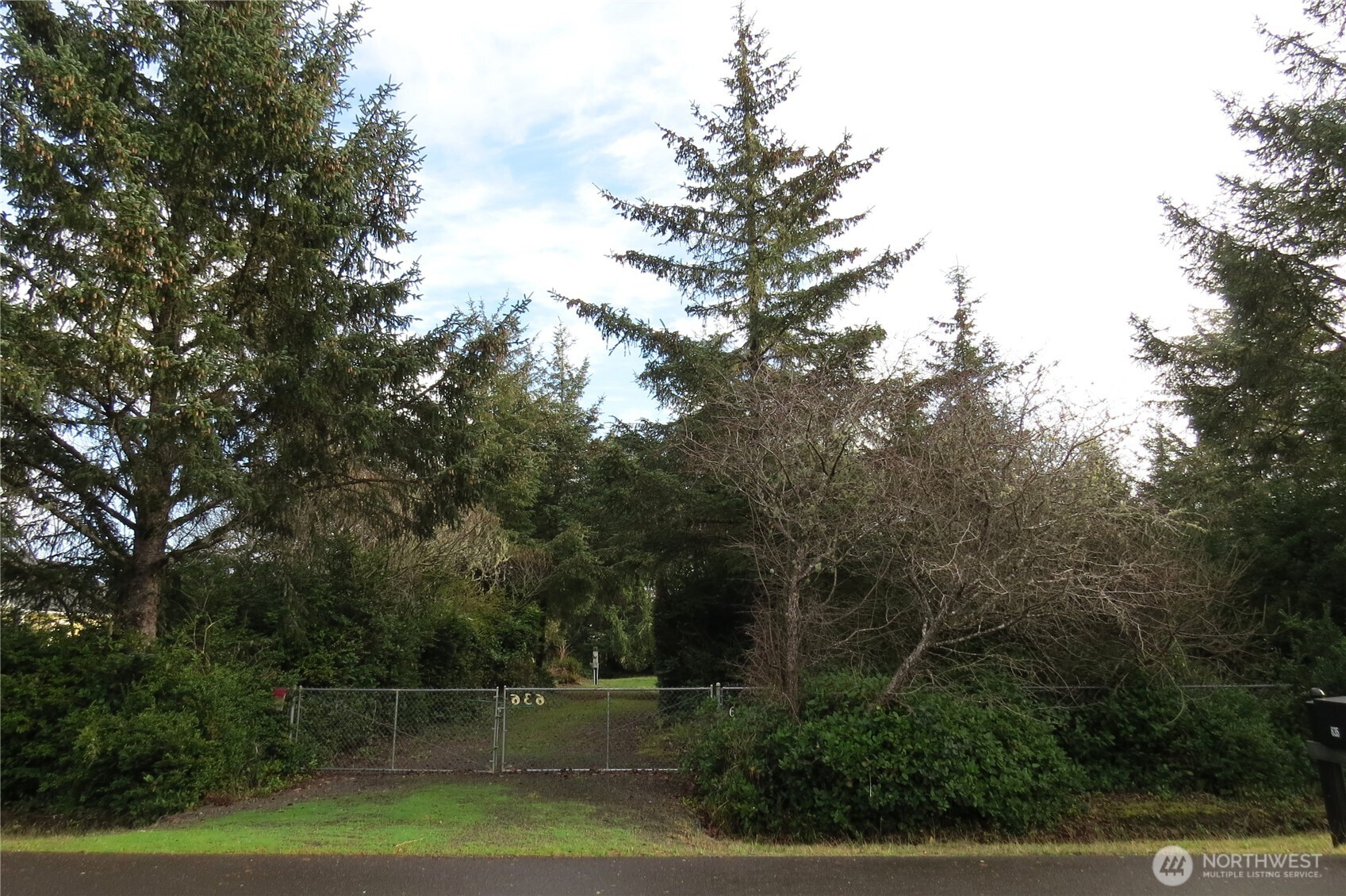 636 Weatherwax Loop Northeast Ocean Shores, WA 98569 - Photo 20 of 32 a backyard of a house with lots of green space