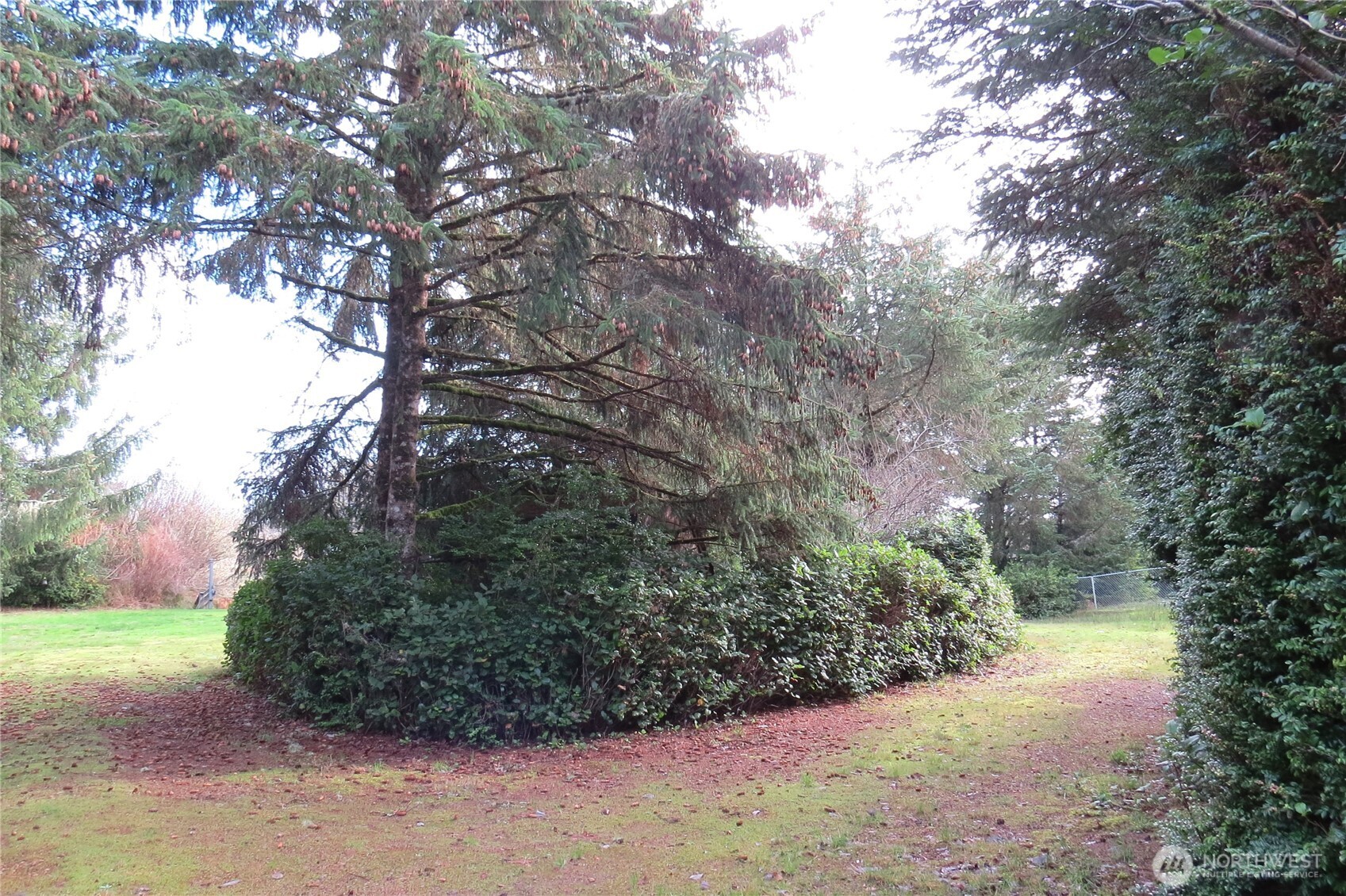 636 Weatherwax Loop Northeast Ocean Shores, WA 98569 - Photo 2 of 32 a view of backyard with green space