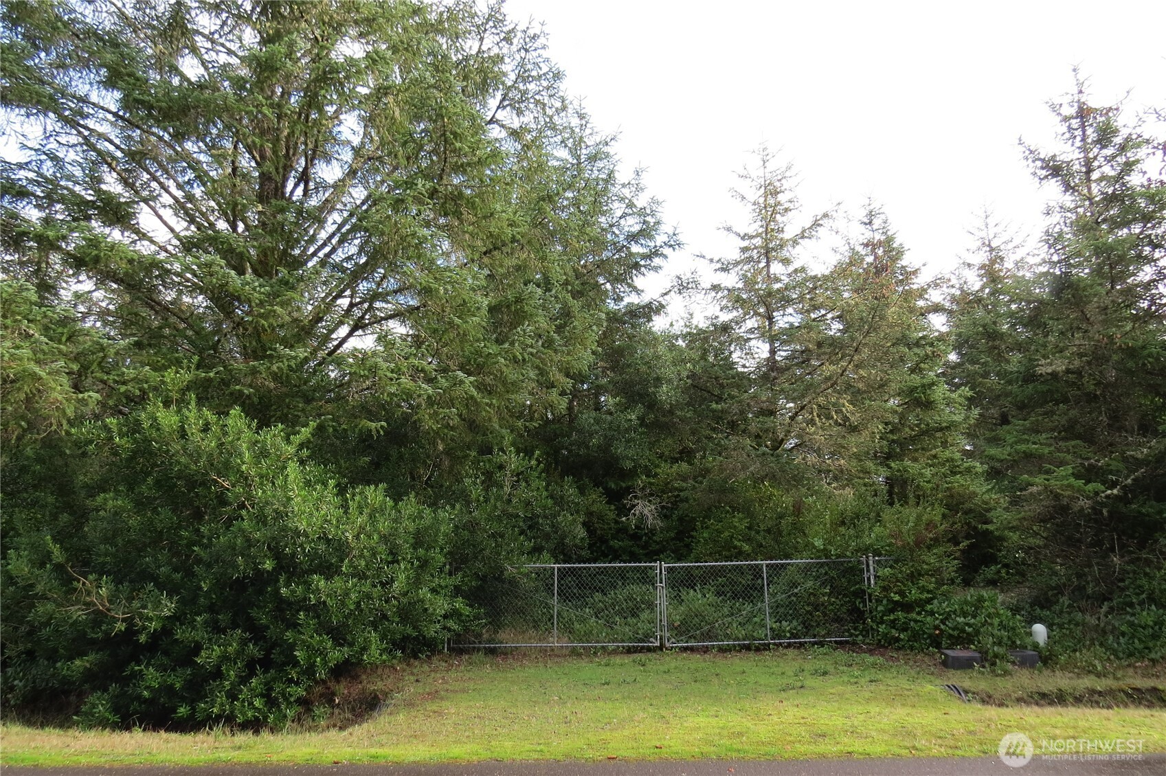 636 Weatherwax Loop Northeast Ocean Shores, WA 98569 - Photo 22 of 32 a view of a yard with a tree