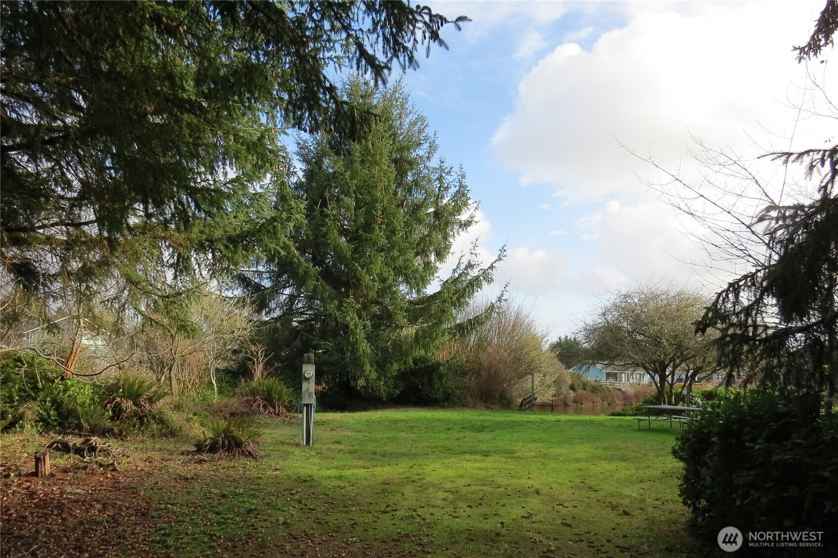 636 Weatherwax Loop Northeast Ocean Shores, WA 98569 - Photo 3 of 32 a grassy field with trees in the background