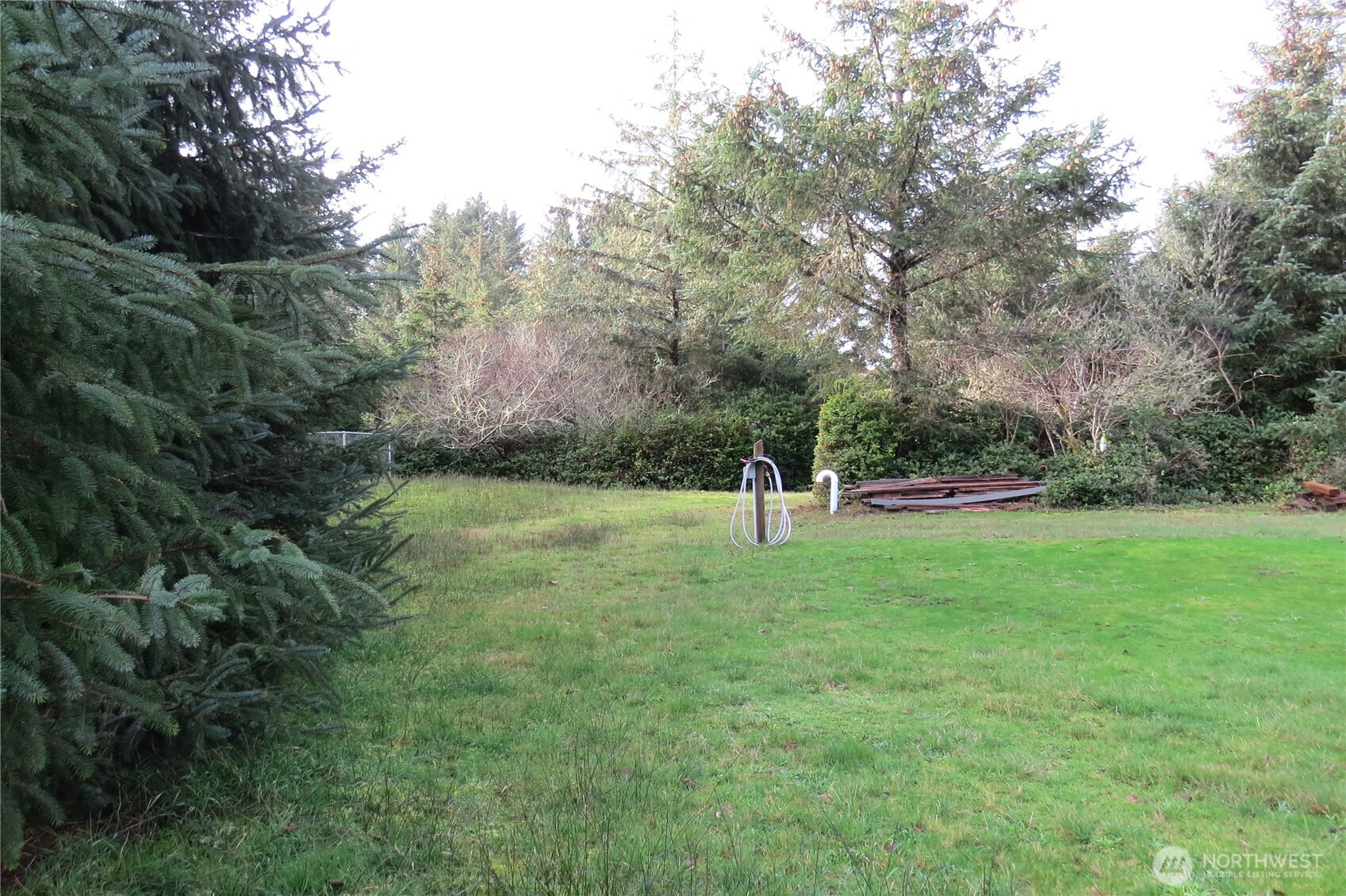 636 Weatherwax Loop Northeast Ocean Shores, WA 98569 - Photo 6 of 32 a view of a park with large trees
