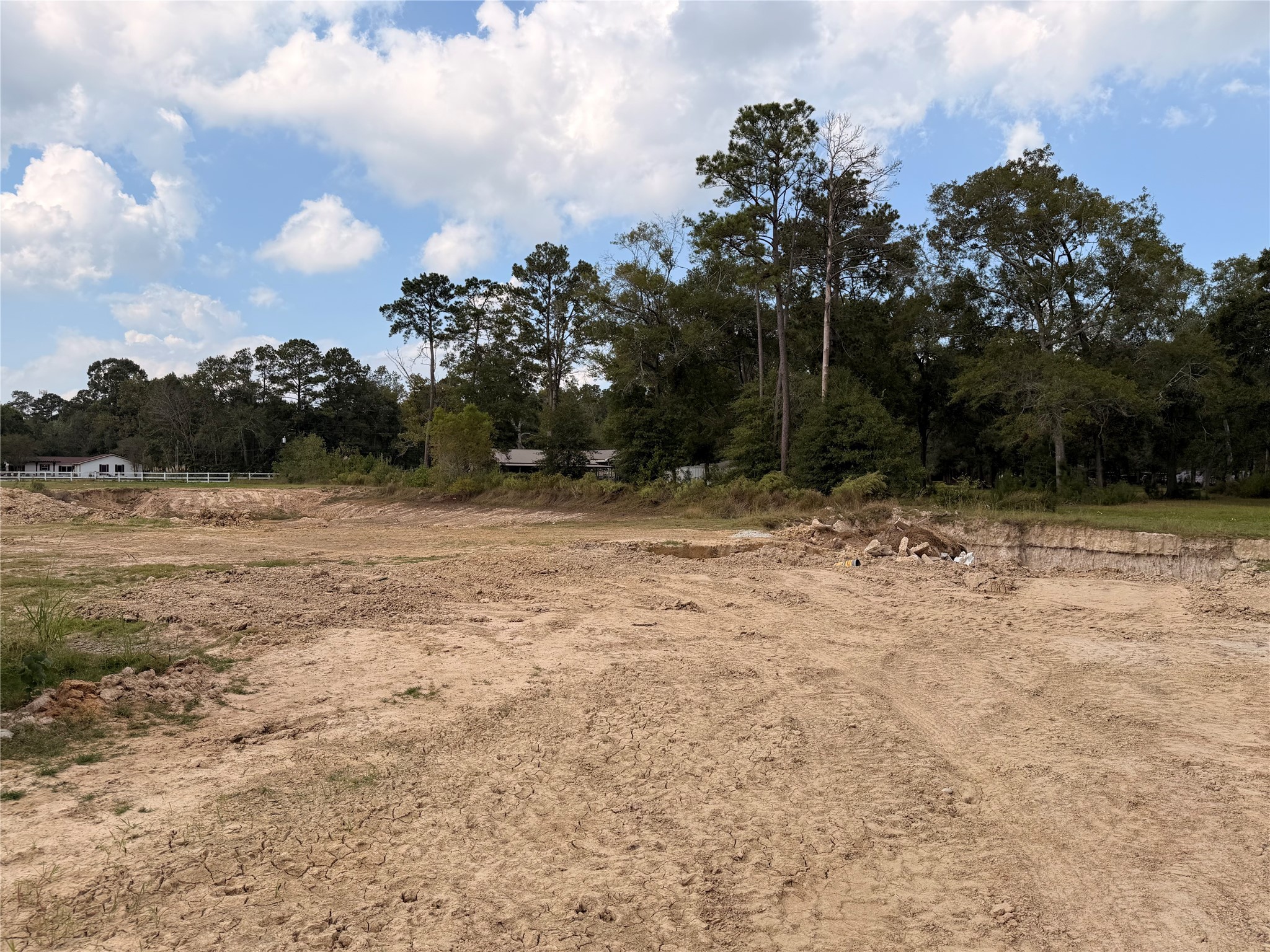62 Short Leaf Drive Huffman, TX 77336 - Photo 12 of 33 a view of swimming pool with a yard