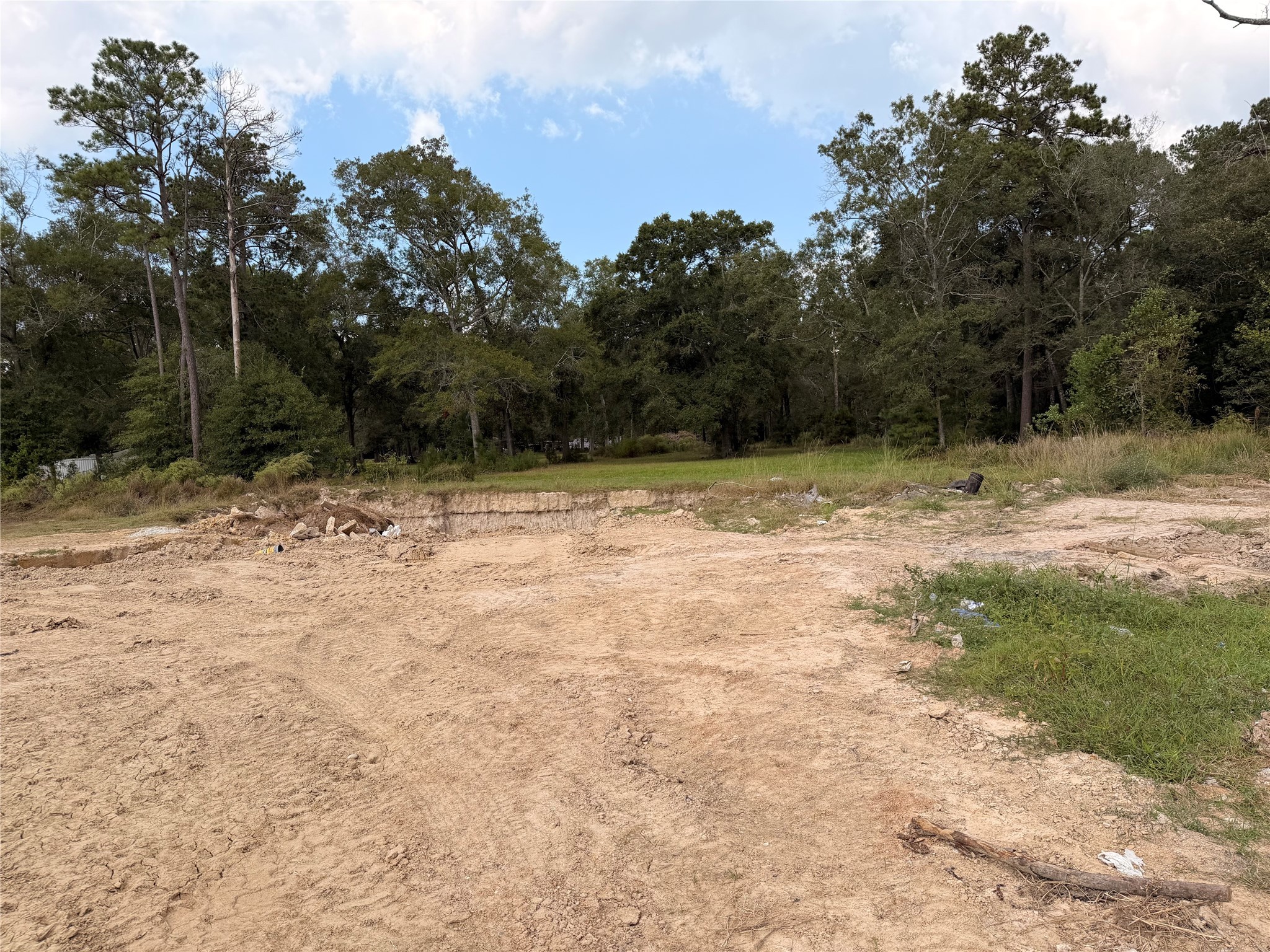 62 Short Leaf Drive Huffman, TX 77336 - Photo 13 of 33 a view of a yard with a tree
