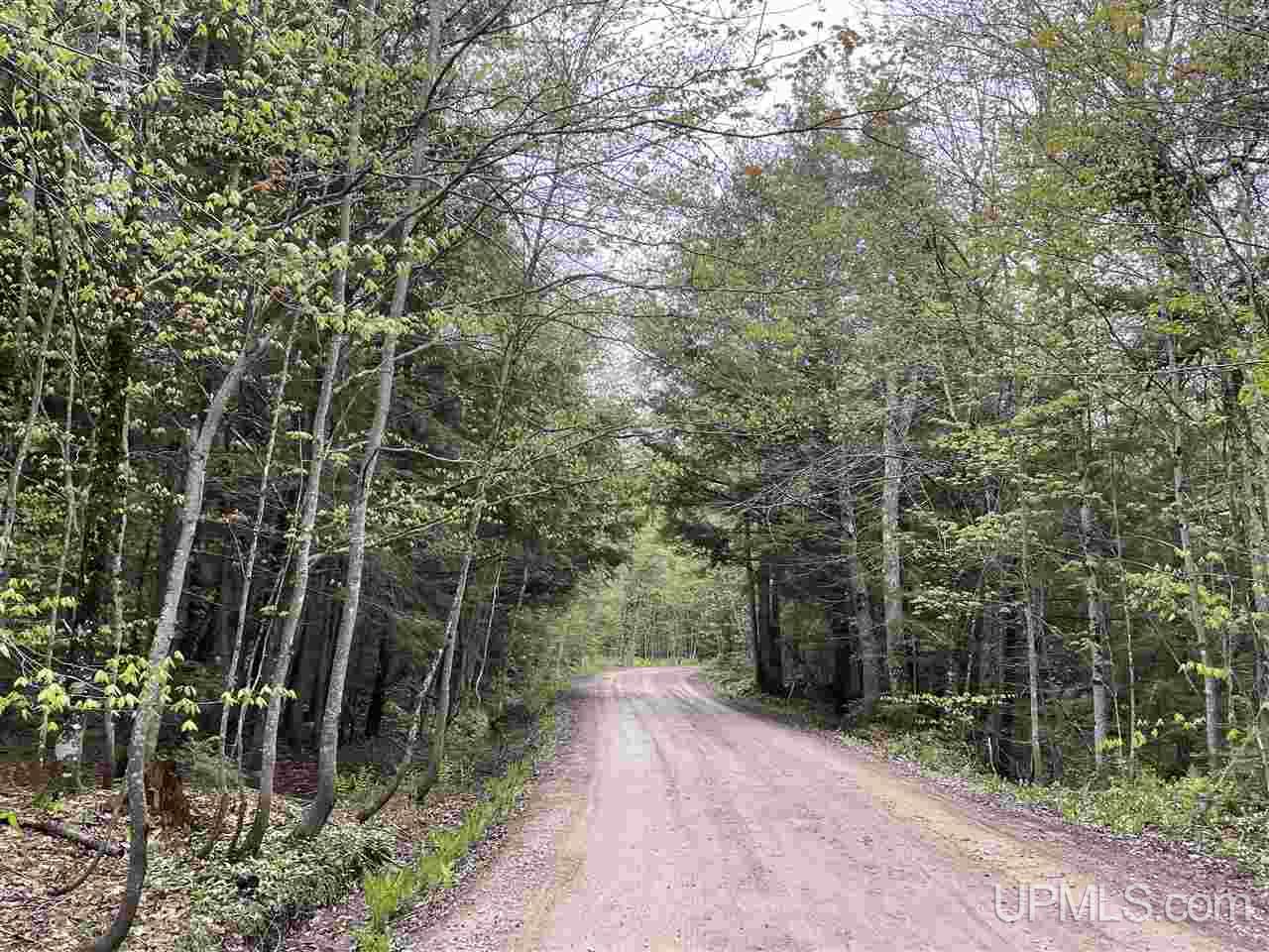 0 County Road 577 Road, Unit ANNA RIVER RDP Munising, MI 49862 - Photo 19 of 26