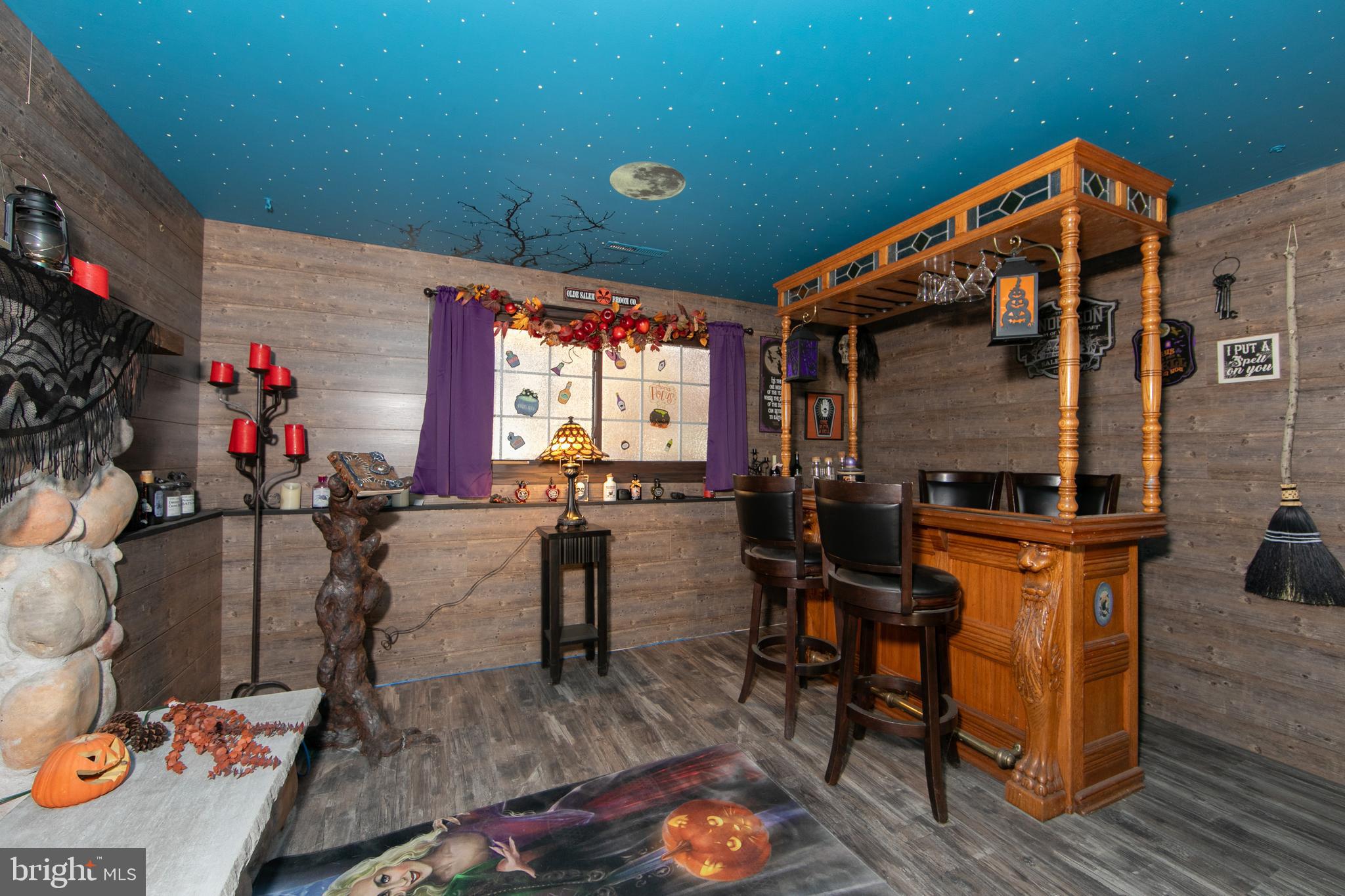 157 Sooy Place Road Tabernacle, NJ 08088 - Photo 34 of 59 Hocus Pocus themed movie room