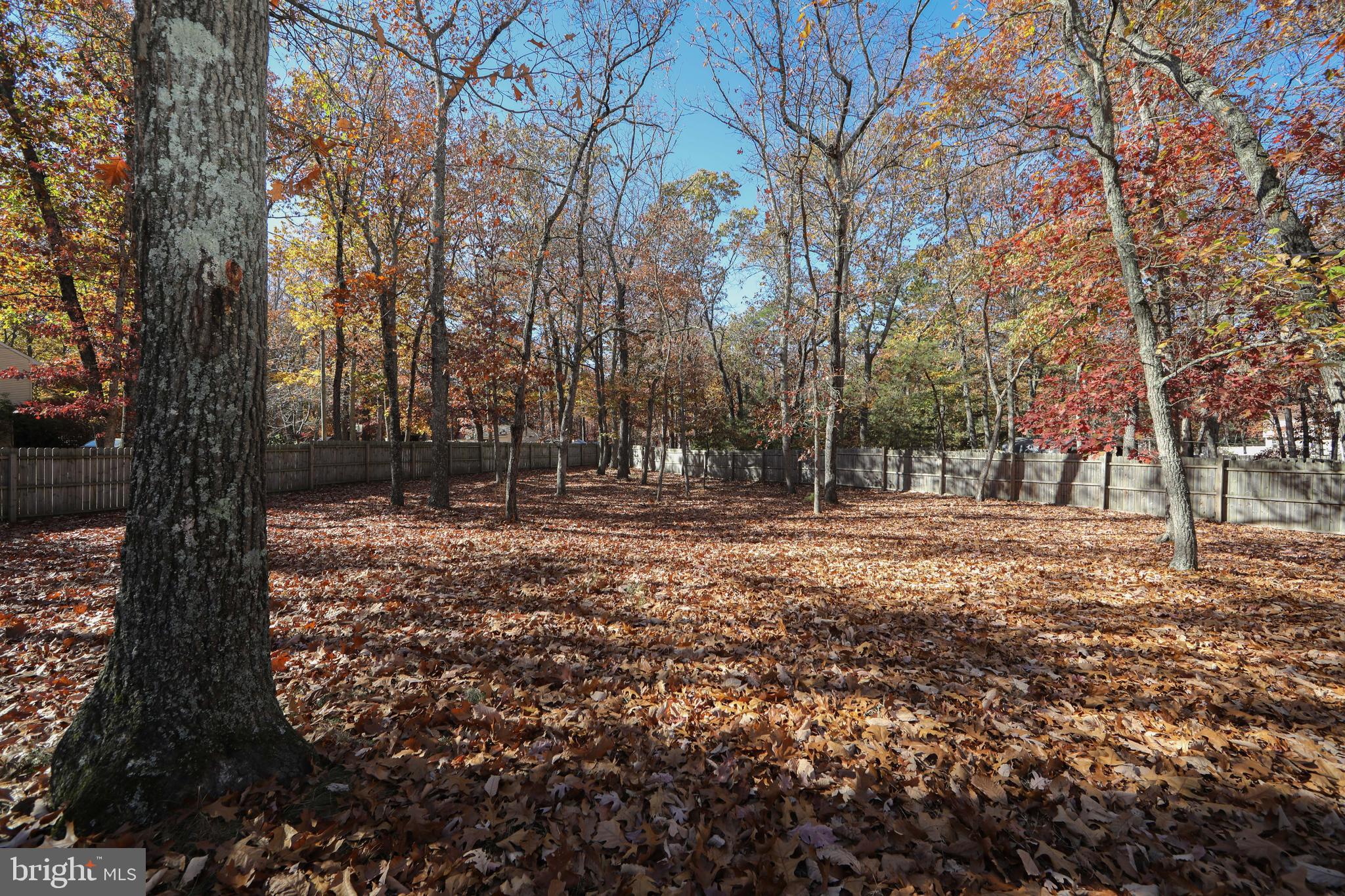 157 Sooy Place Road Tabernacle, NJ 08088 - Photo 56 of 59