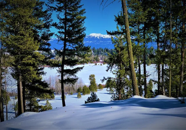 $285,000 | Lot 6 Bella View Drive, Unit 6, McCall, ID 83638