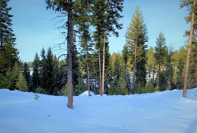 $285,000 | Lot 6 Bella View Drive, Unit 6, McCall, ID 83638