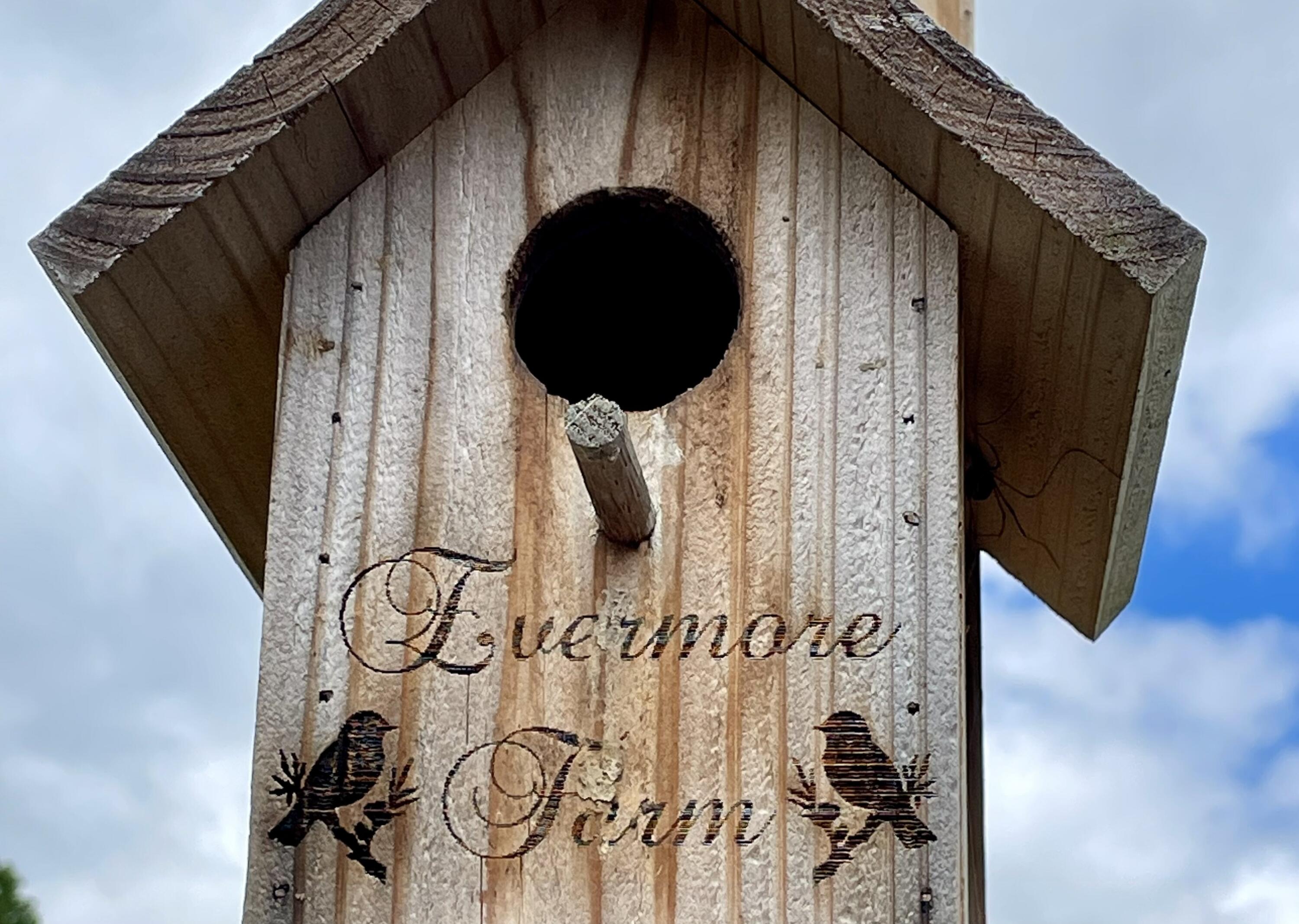 2208 Poe Road Soddy Daisy, TN 37379 - Photo 2 of 64 IMG_1849