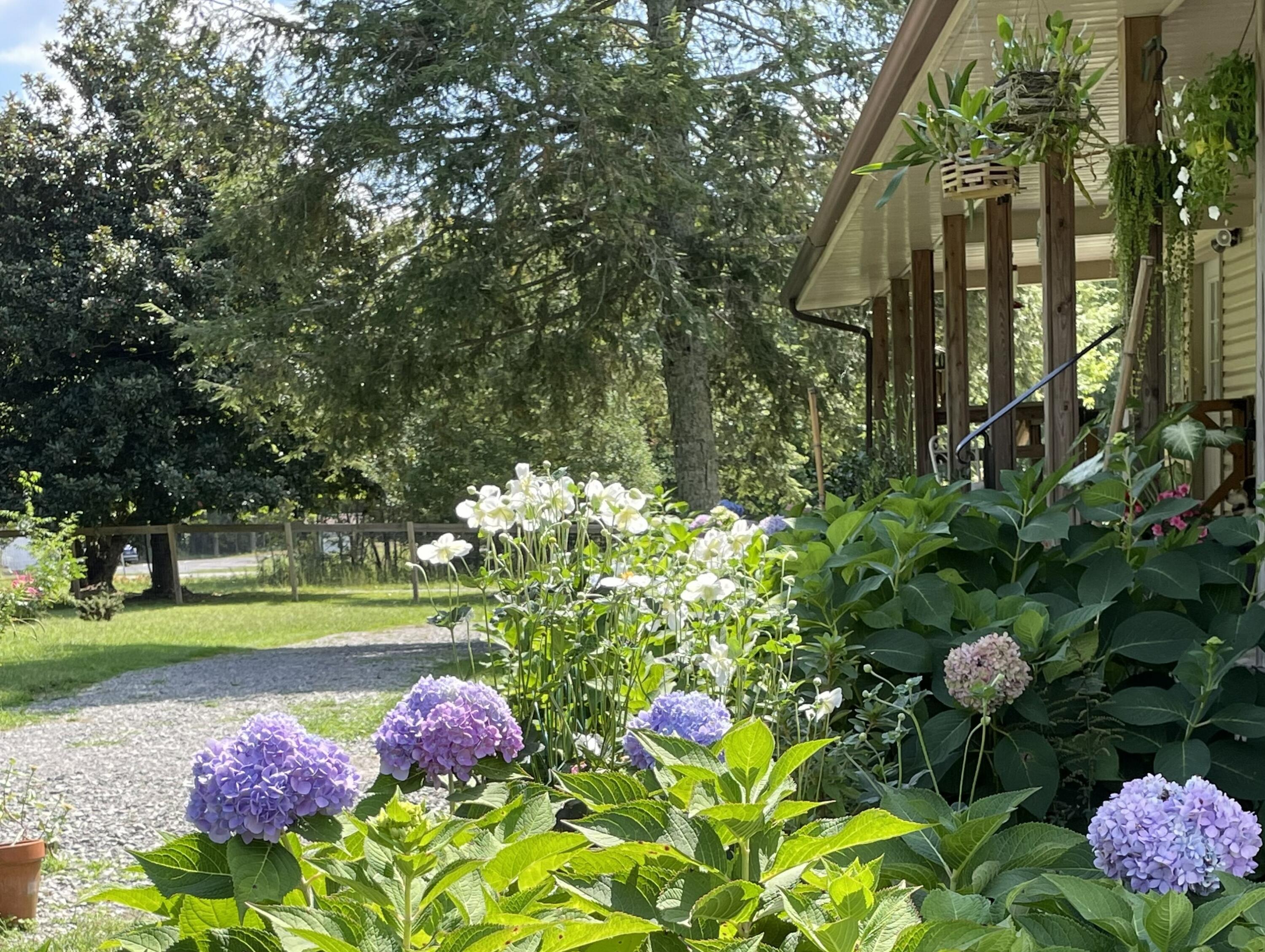 2208 Poe Road Soddy Daisy, TN 37379 - Photo 21 of 64 IMG_3109