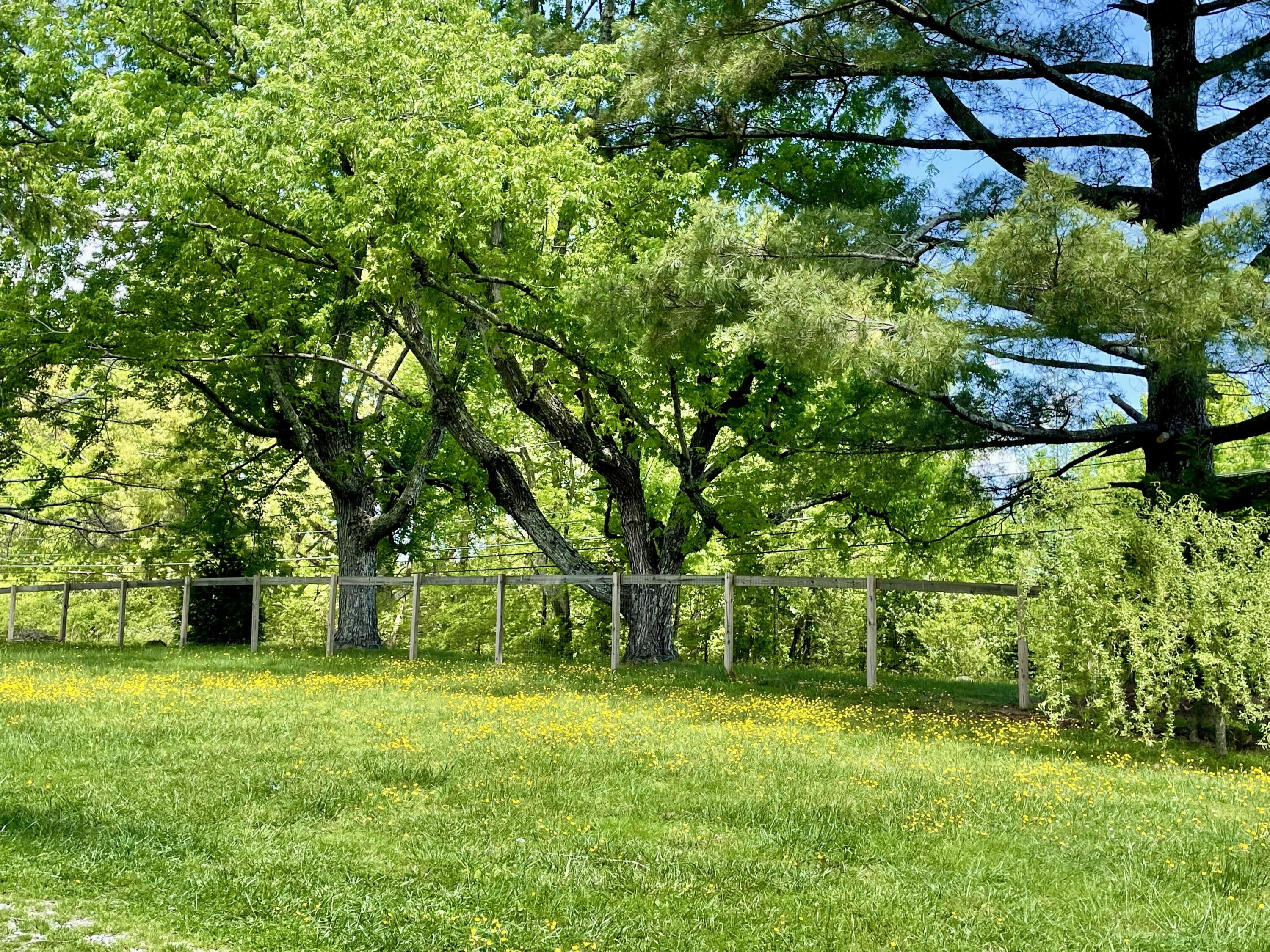 2208 Poe Road Soddy Daisy, TN 37379 - Photo 22 of 64 IMG_0023