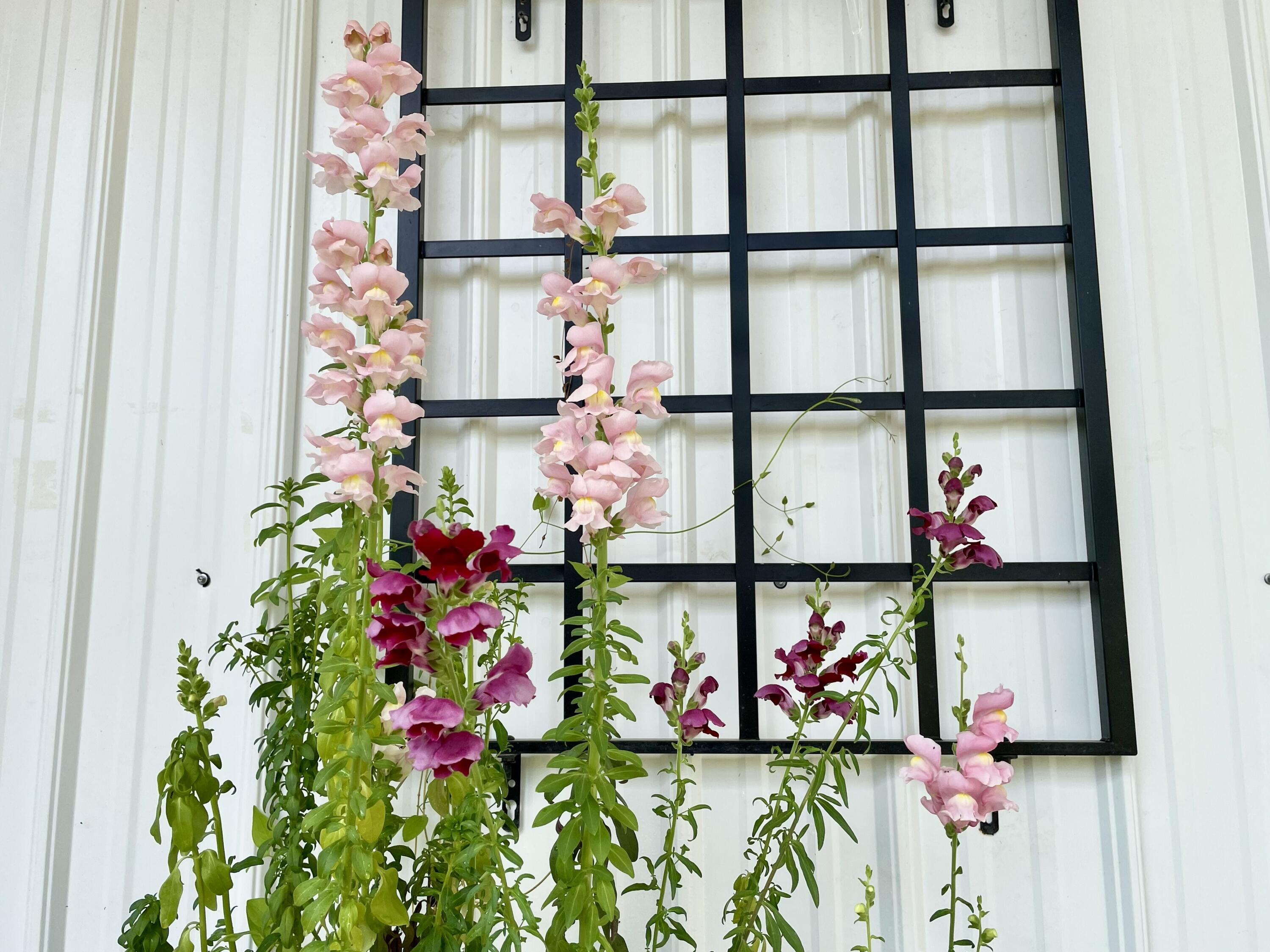 2208 Poe Road Soddy Daisy, TN 37379 - Photo 28 of 64 IMG_0181