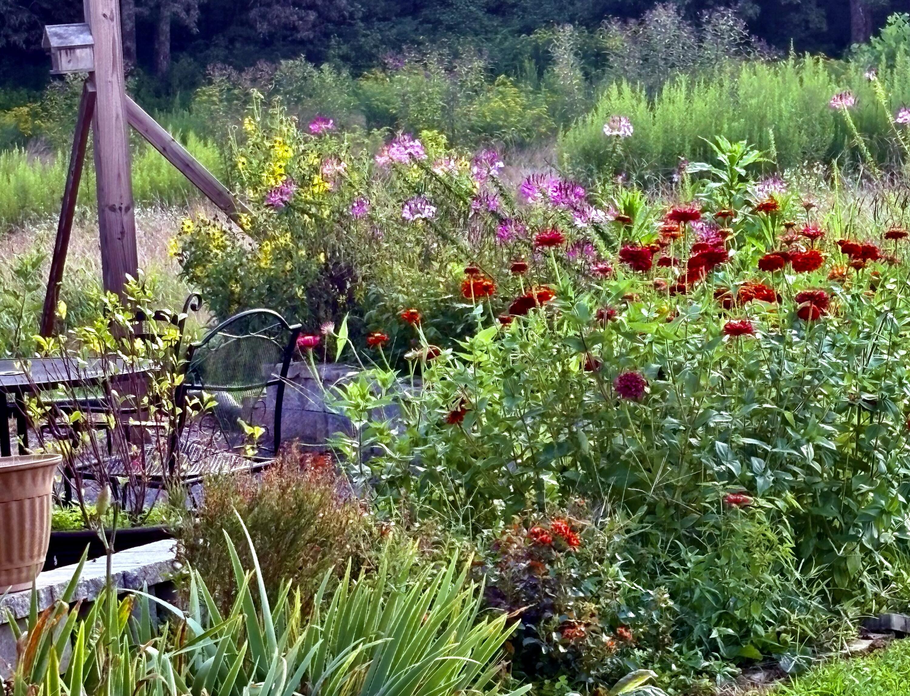 2208 Poe Road Soddy Daisy, TN 37379 - Photo 29 of 64 IMG_4359