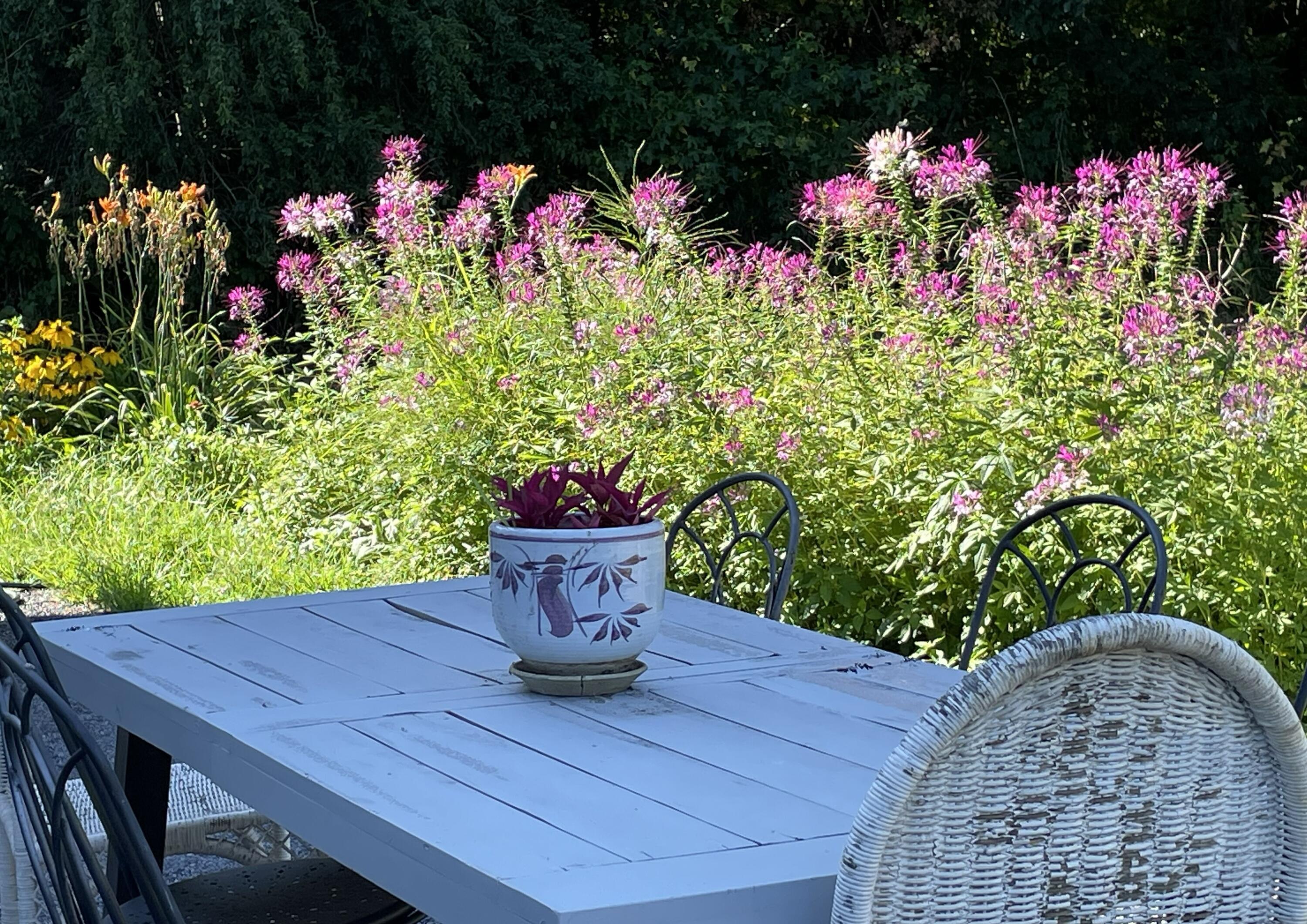 2208 Poe Road Soddy Daisy, TN 37379 - Photo 30 of 64 IMG_2411