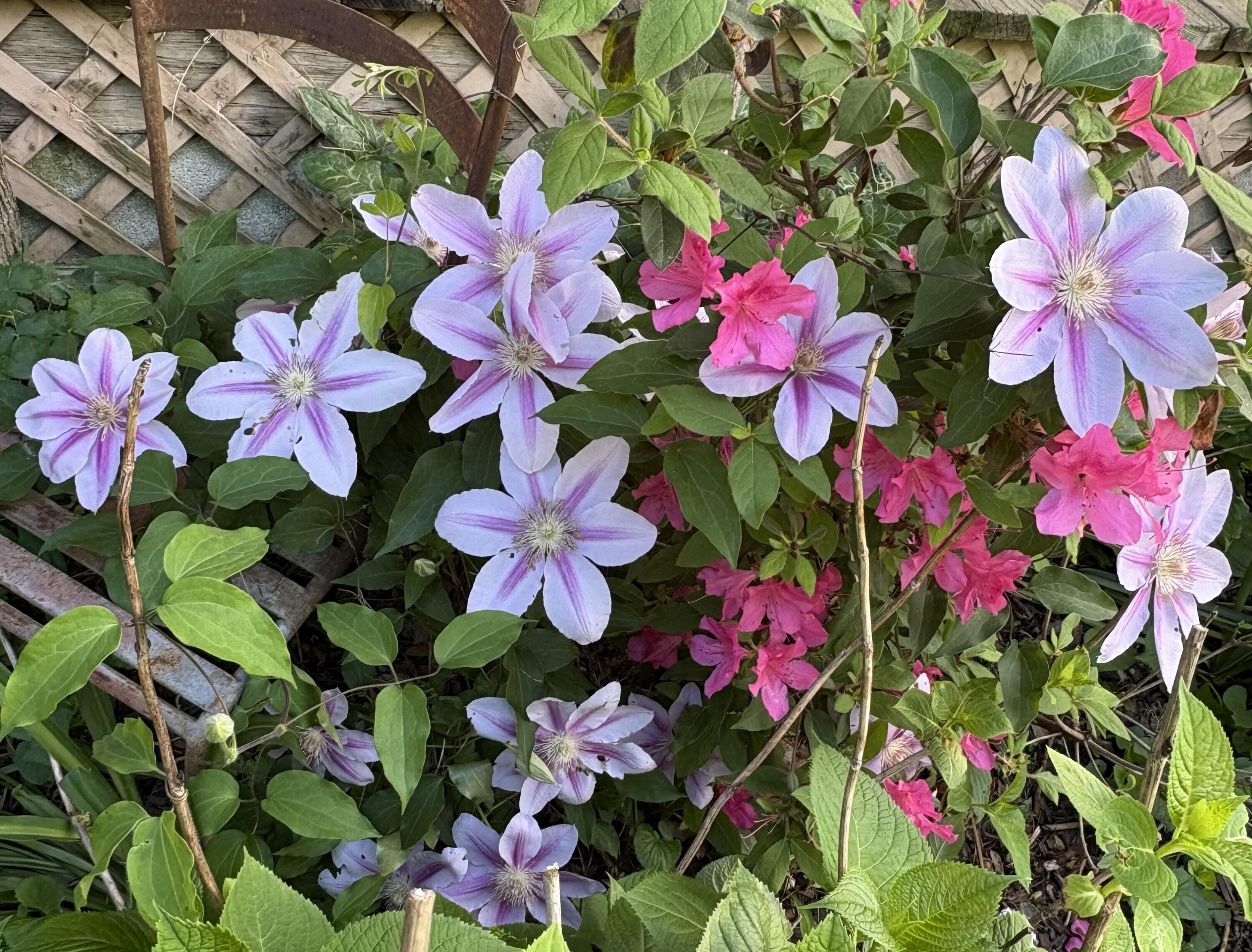 2208 Poe Road Soddy Daisy, TN 37379 - Photo 31 of 64 IMG_0613